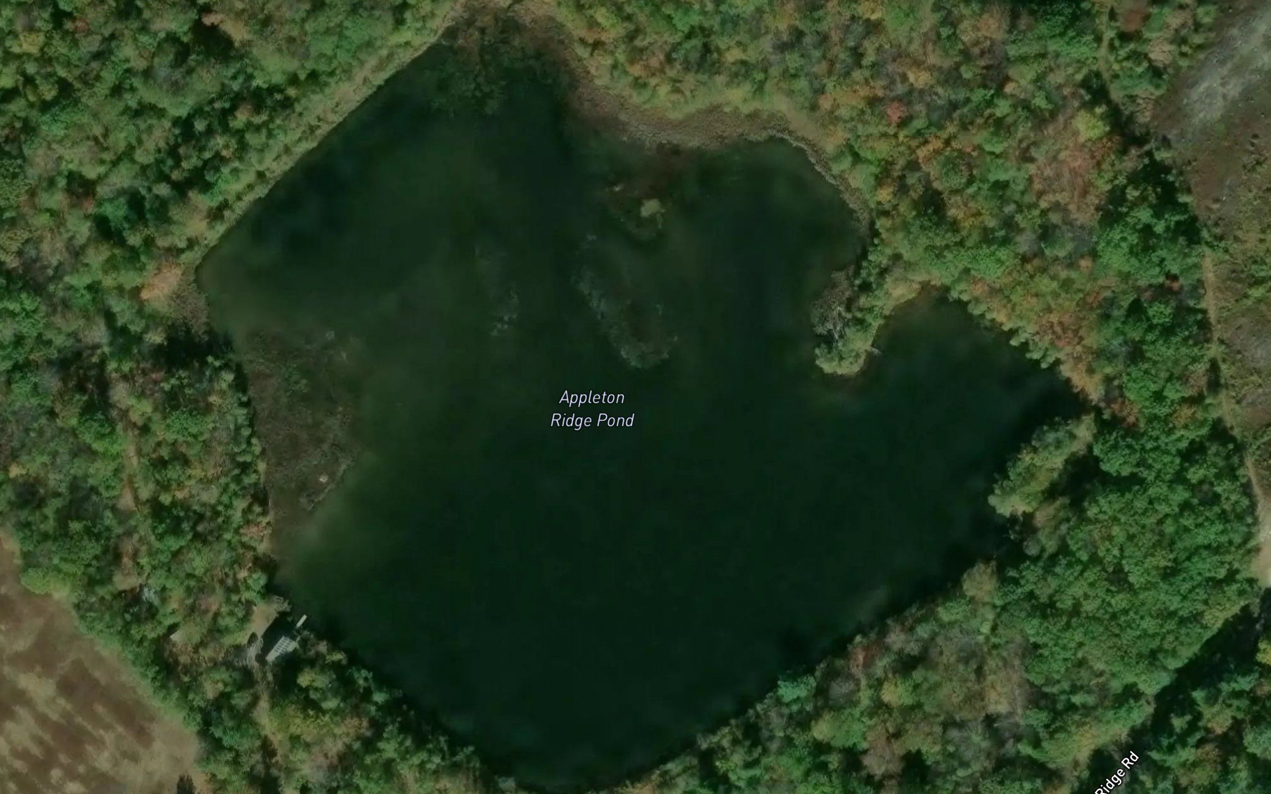Appleton Ridge Pond