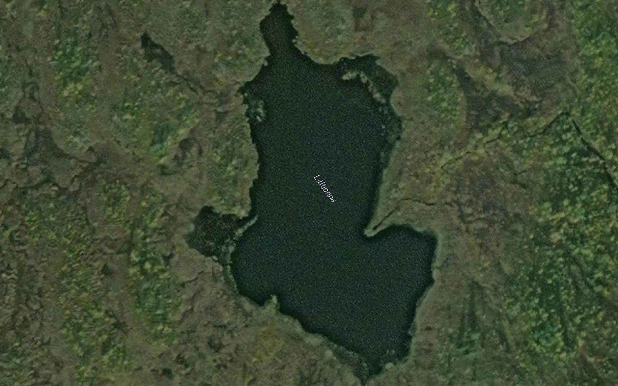 Litltjonna
