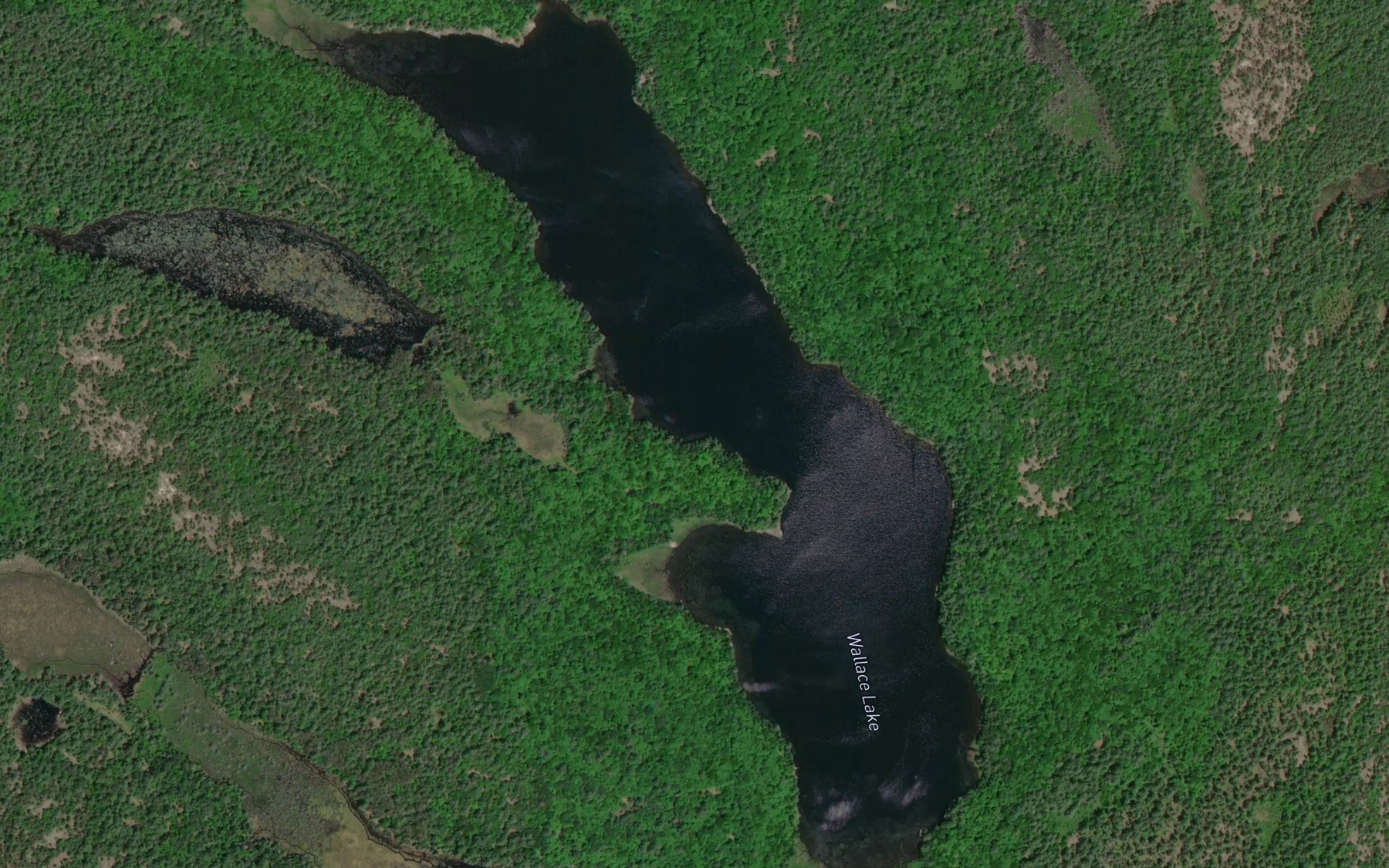 Satellite map of the Wallace Lake