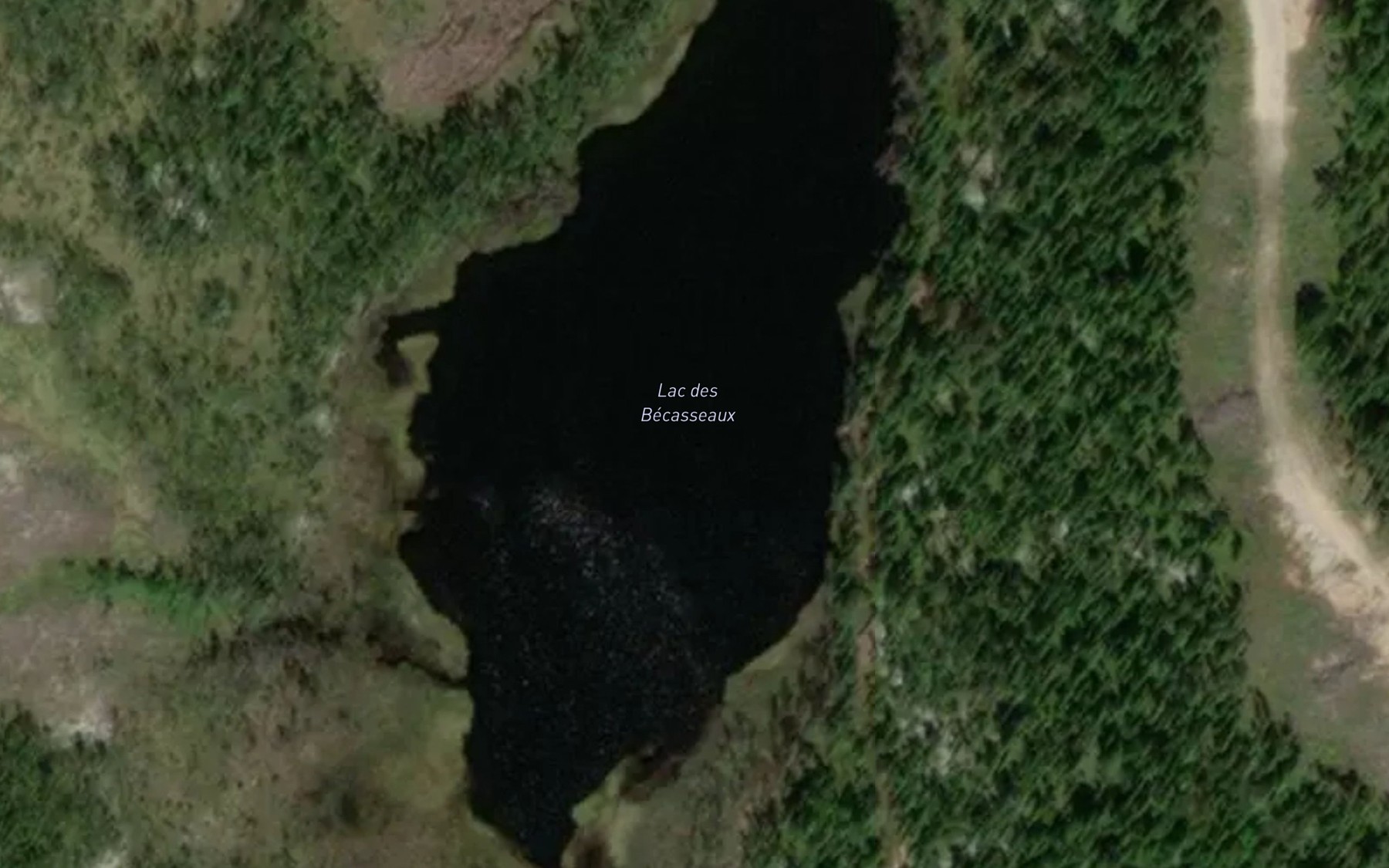 Satellite map of the Lac des Becasseaux