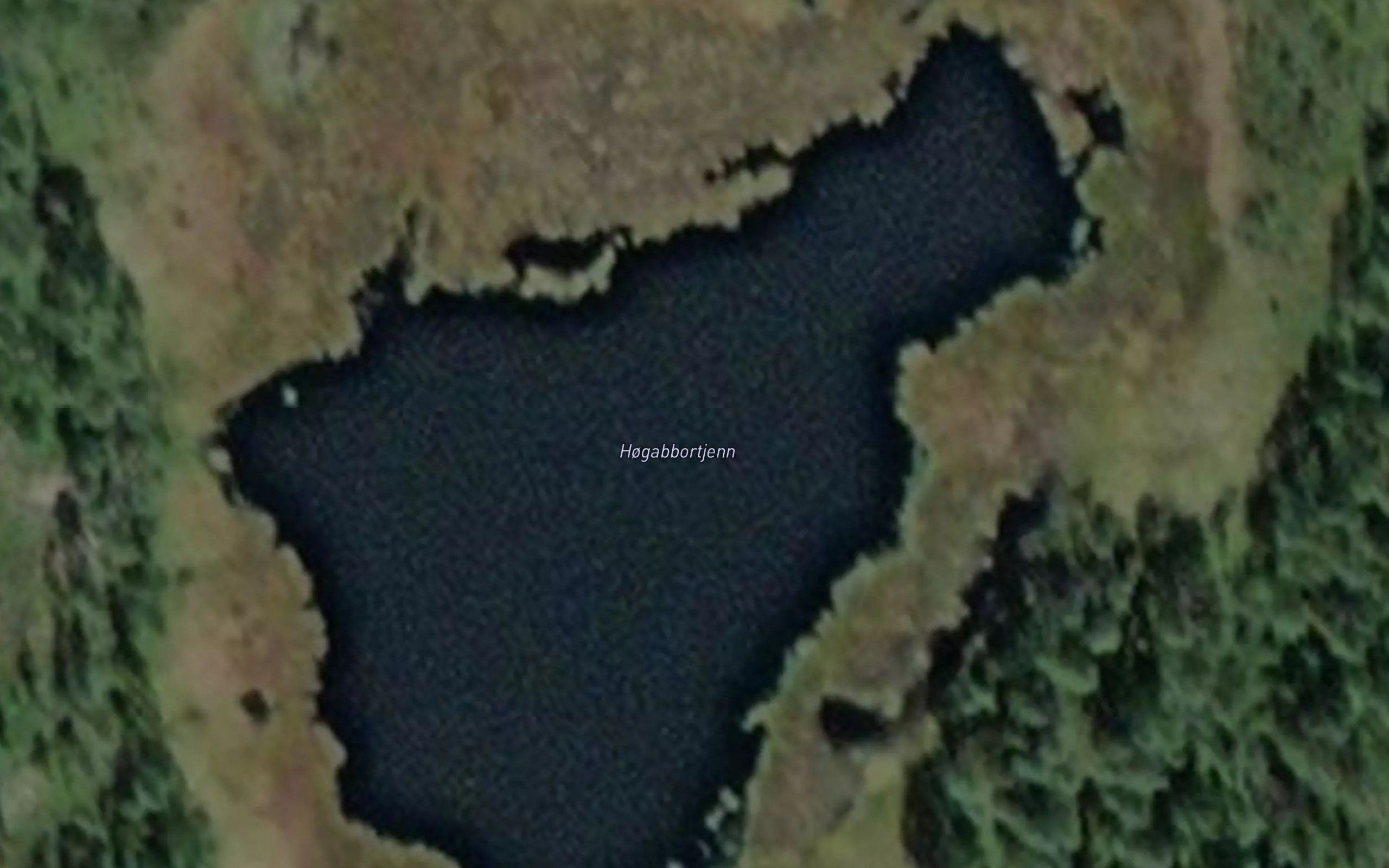 Hogabbortjernet