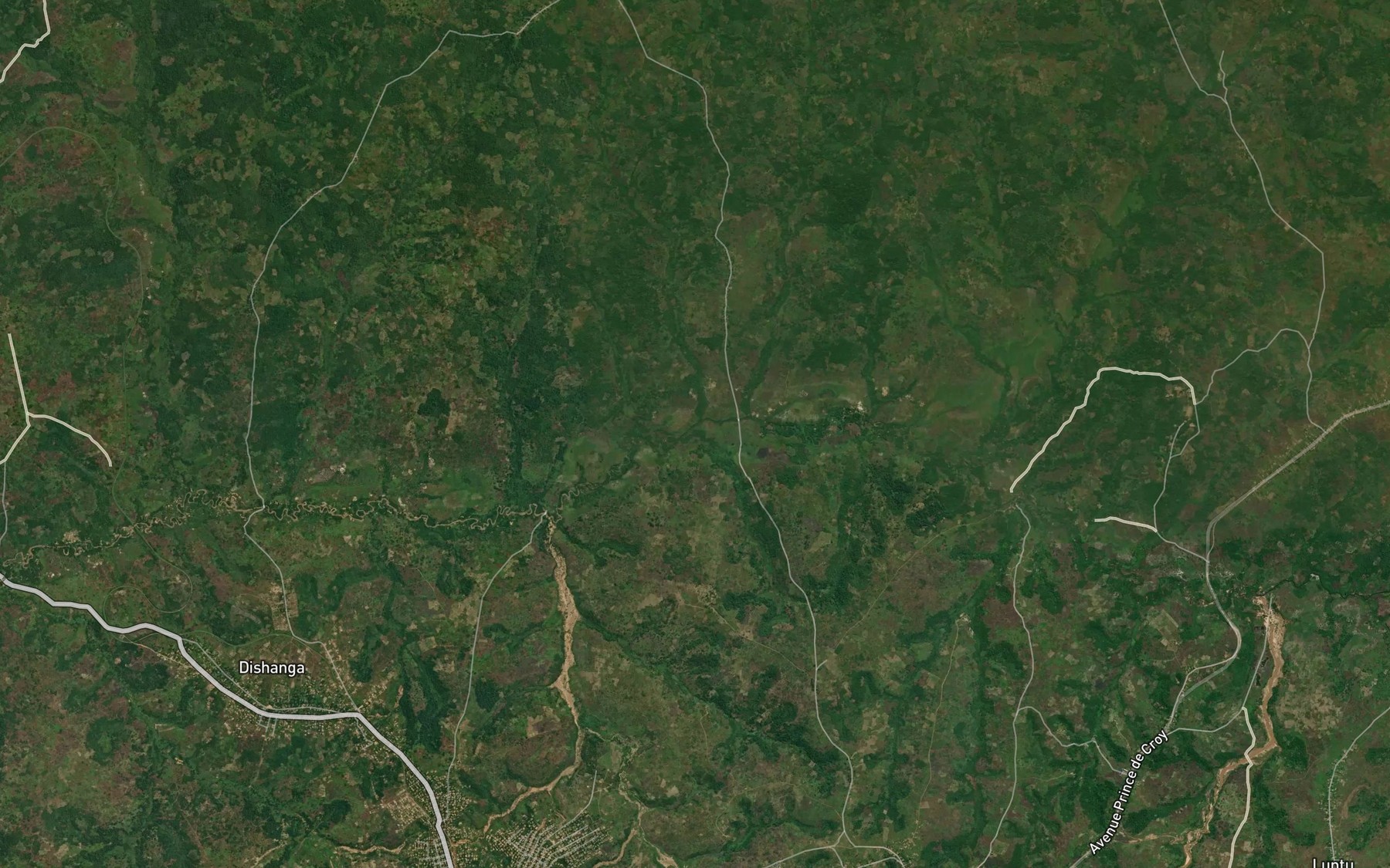 Satellite map of the Mayombo
