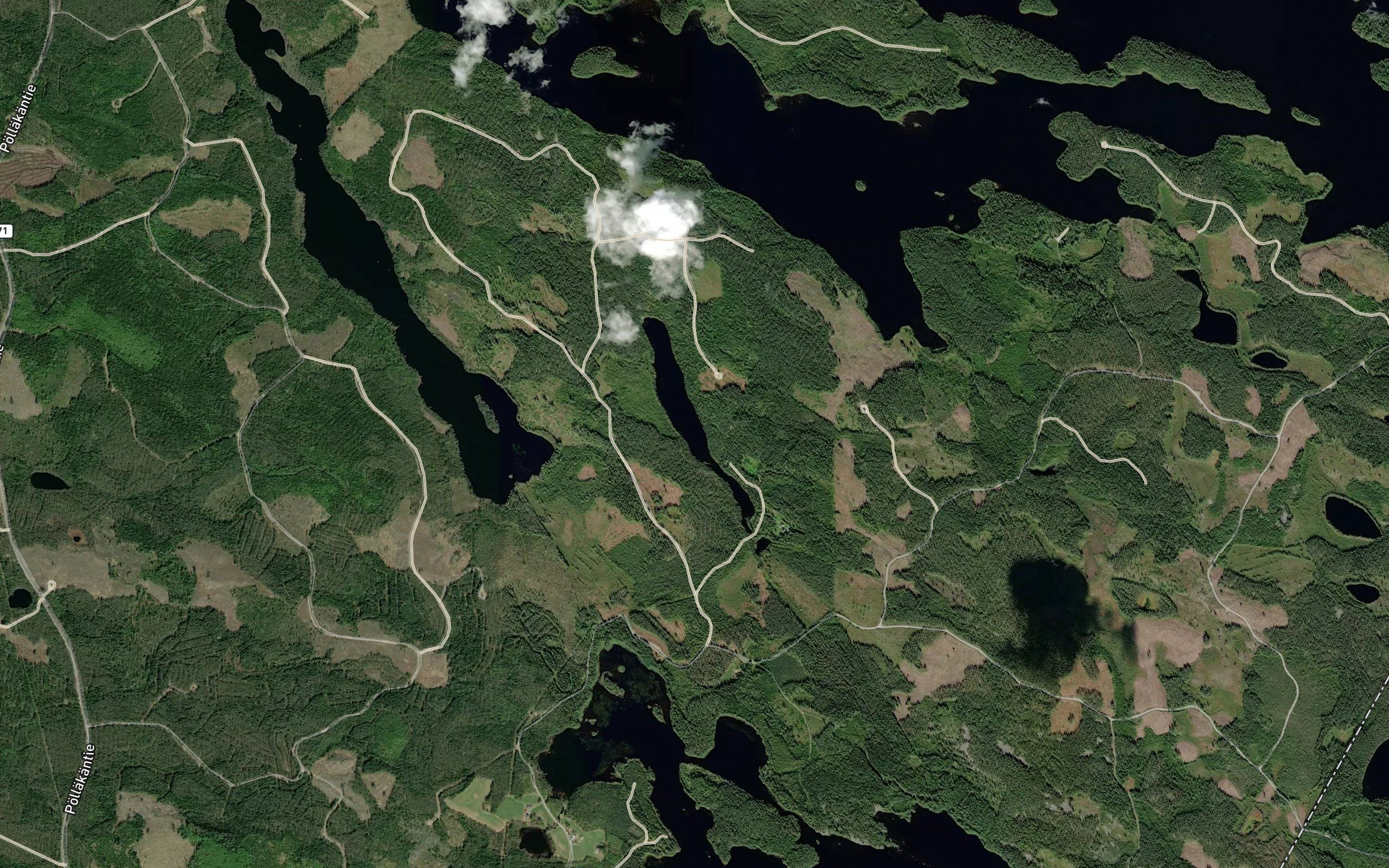 Hoikanlampi