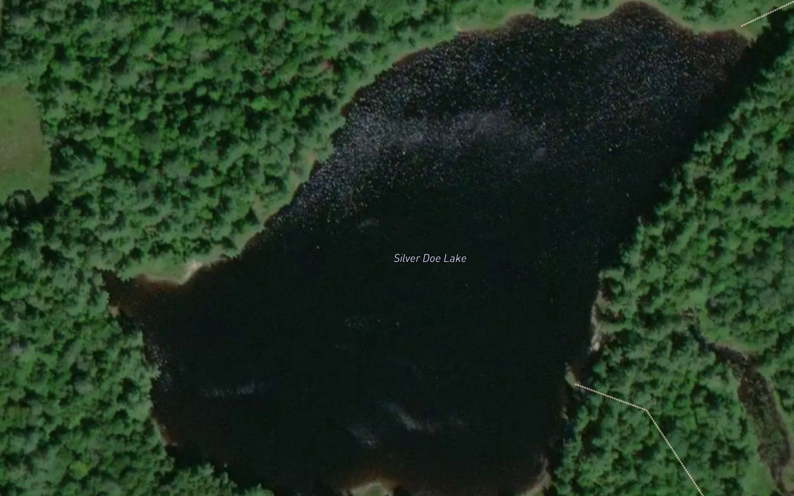 Silver Doe Lake