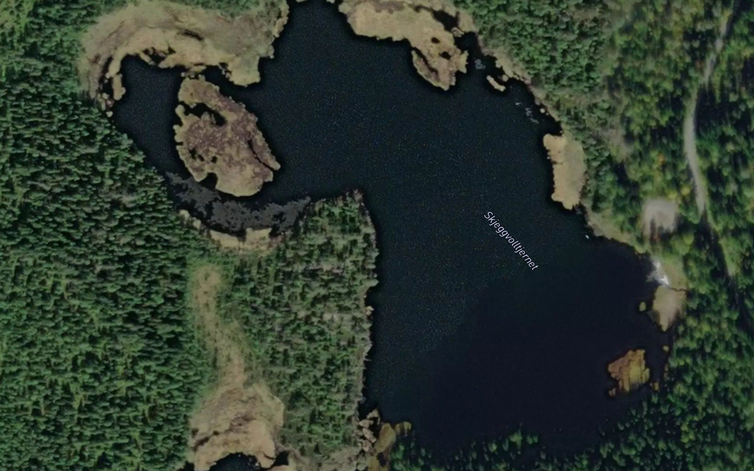 Gaardsvand mellom
