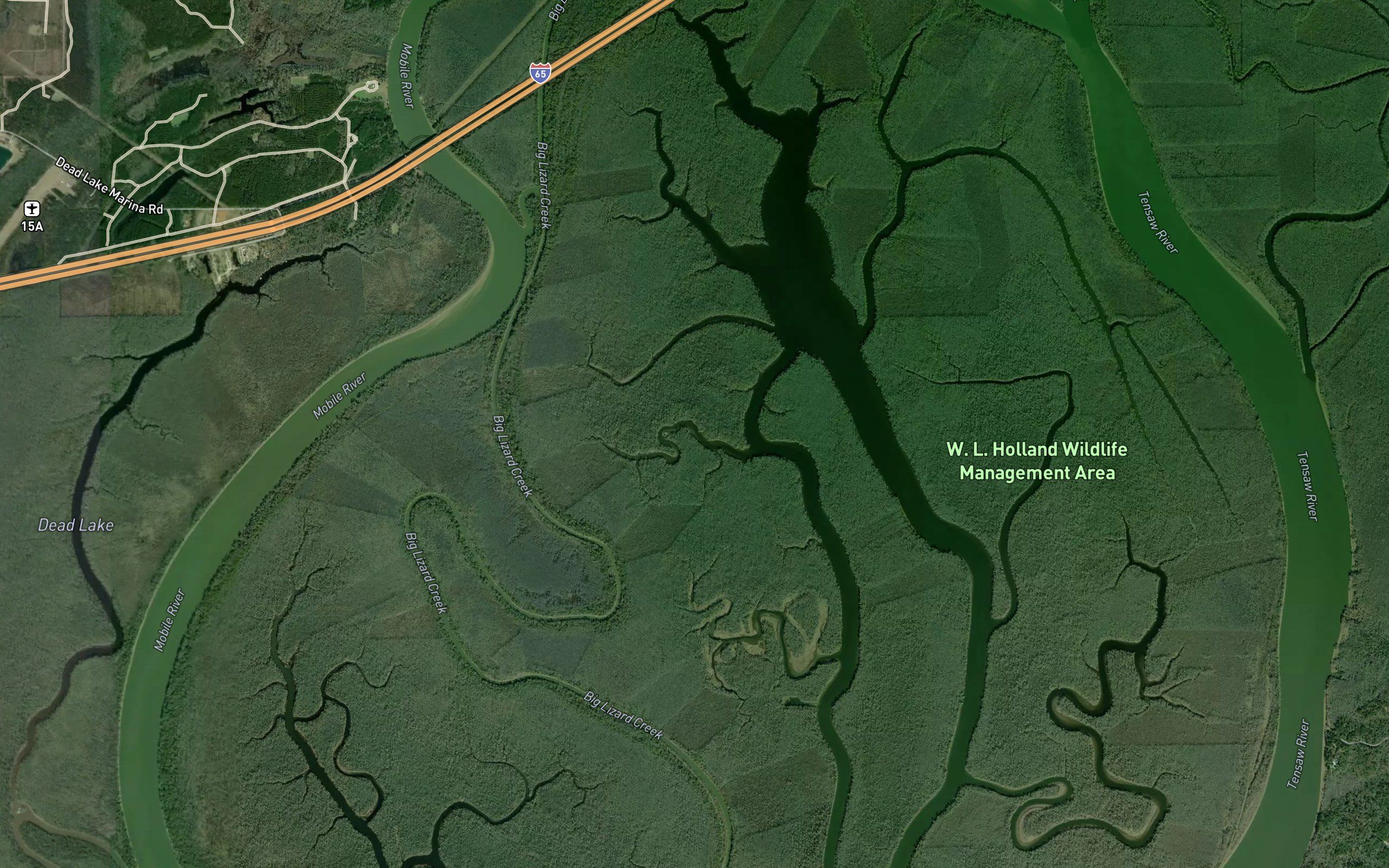 Duck Bayou