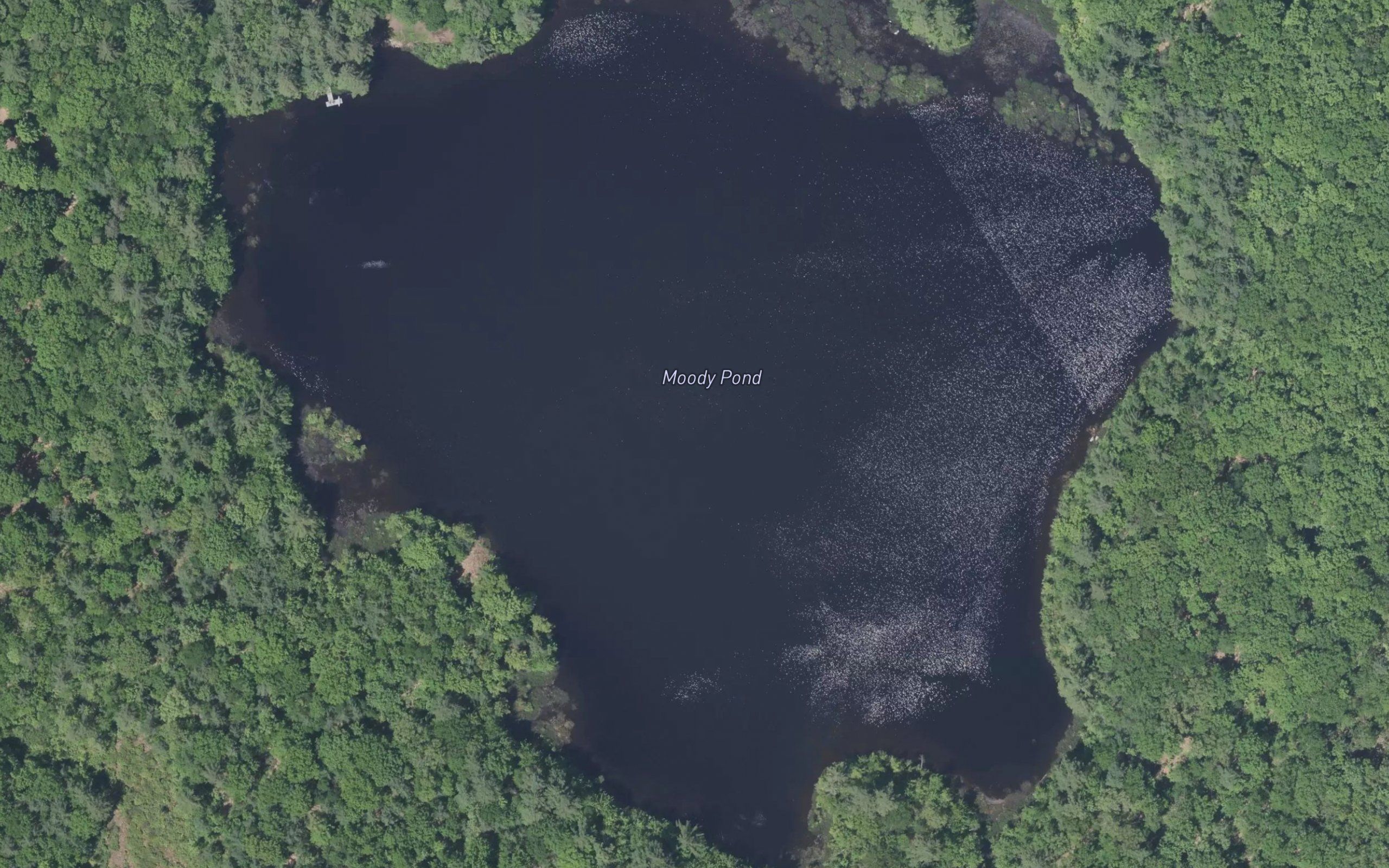 Moody Pond