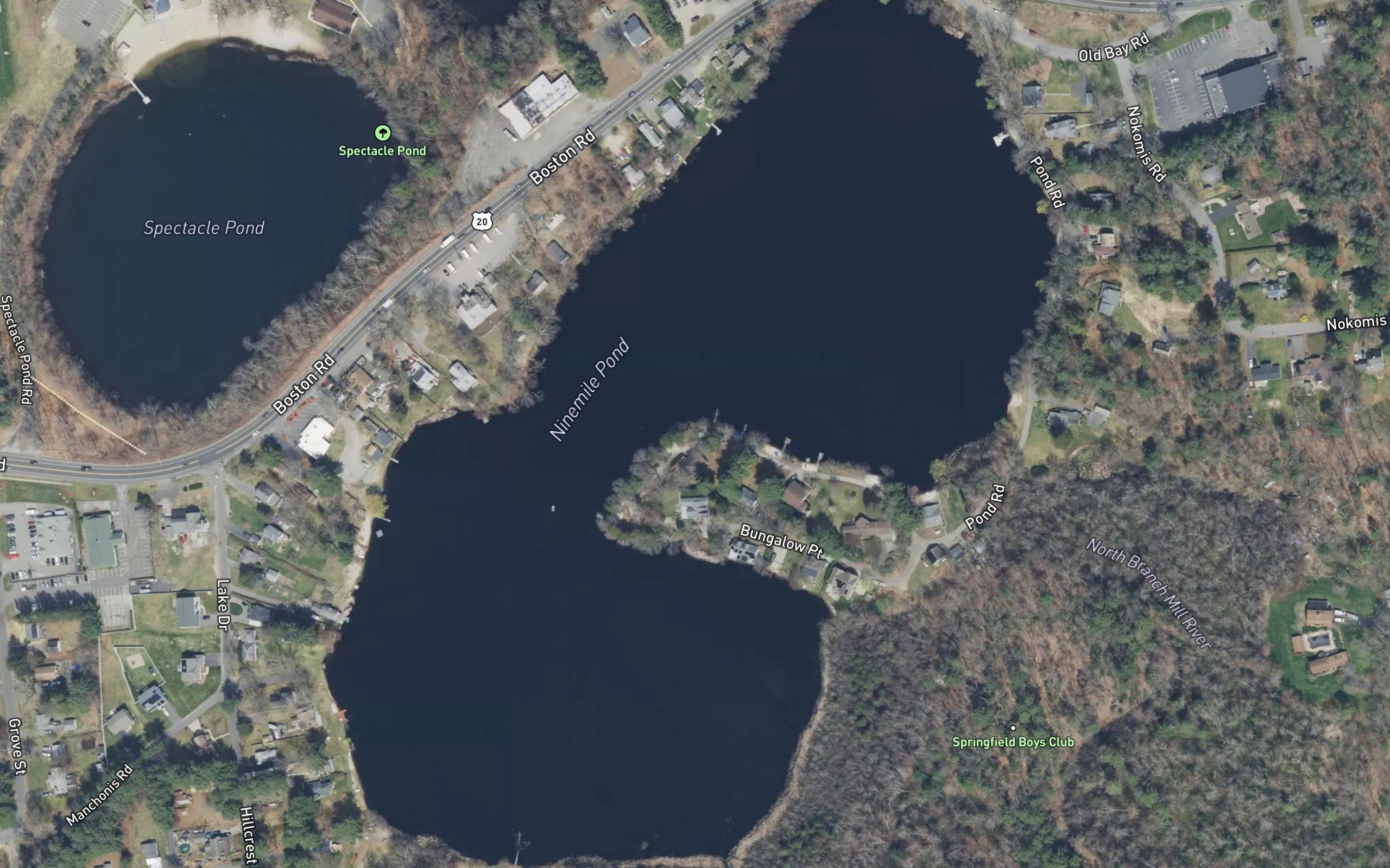Ninemile Pond