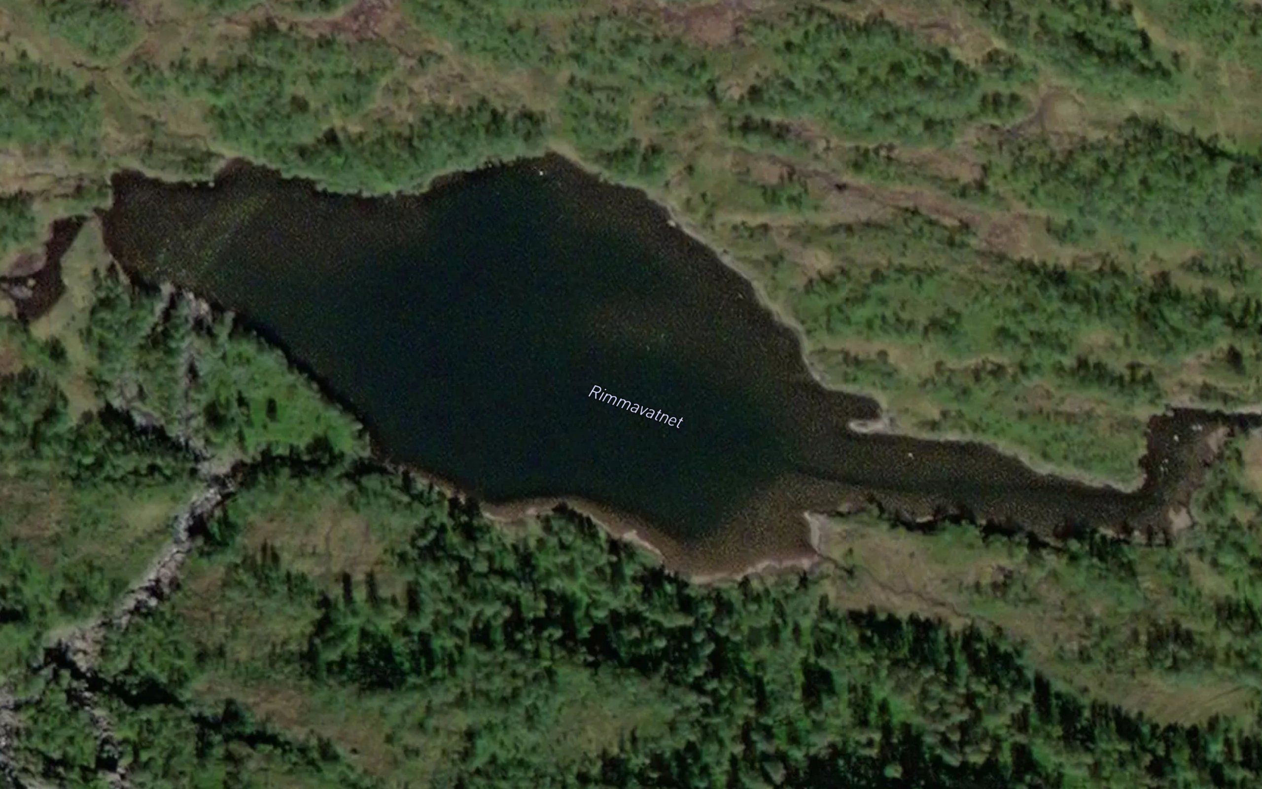 Rimmavatnet