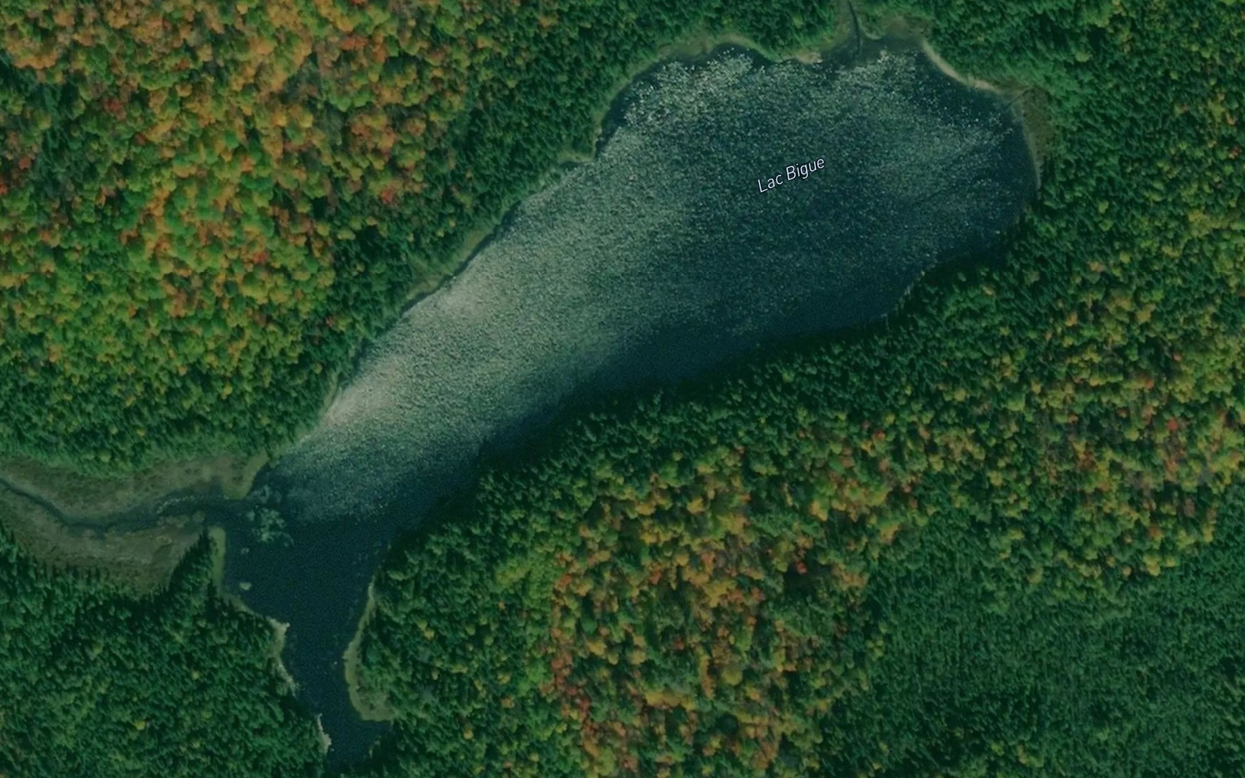 Satellite map of the Lac Bigue