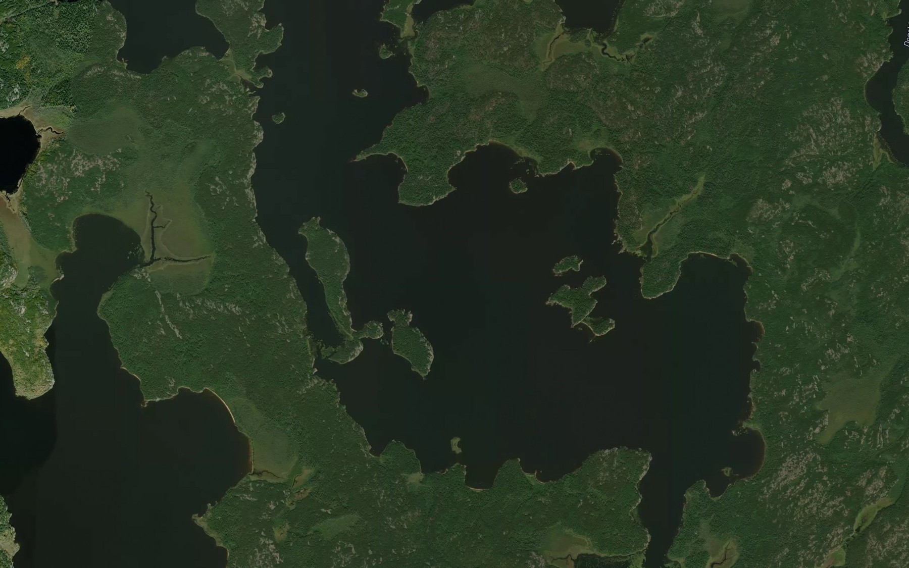 Satellite map of the McKay Bay