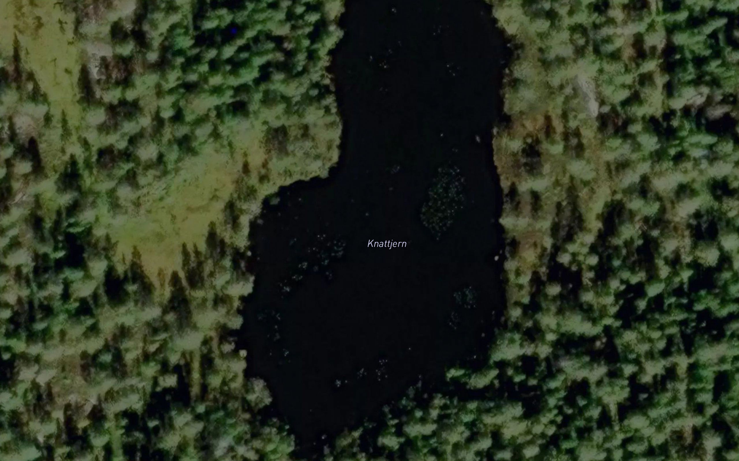Knattjern