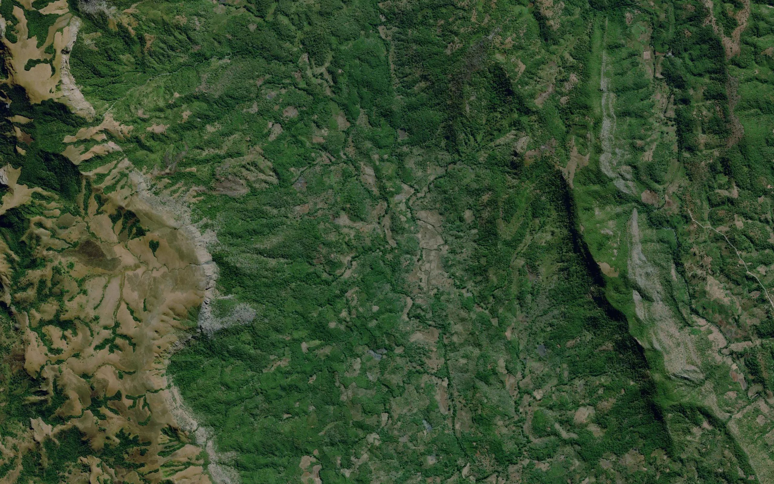 Mutaua