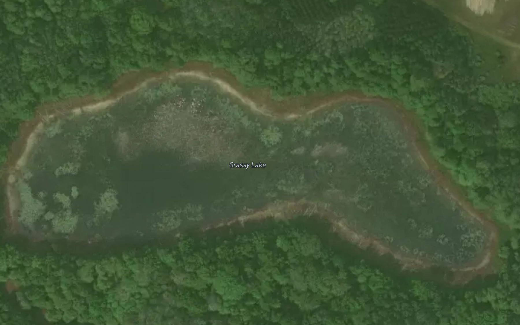 Satellite map of the Grassy Lake