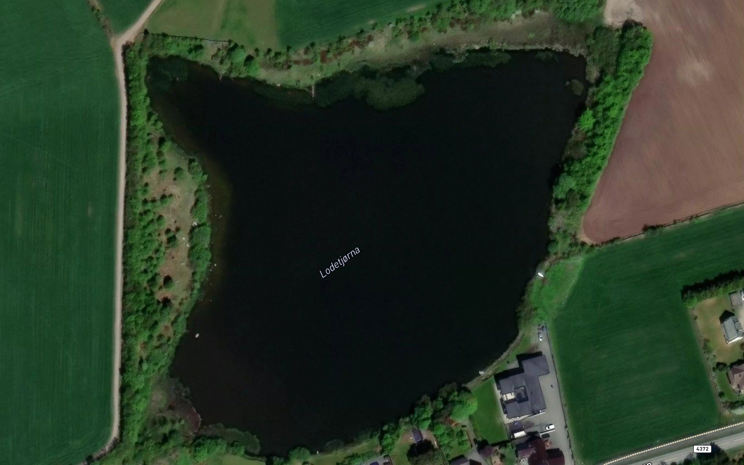 Lodetjorna