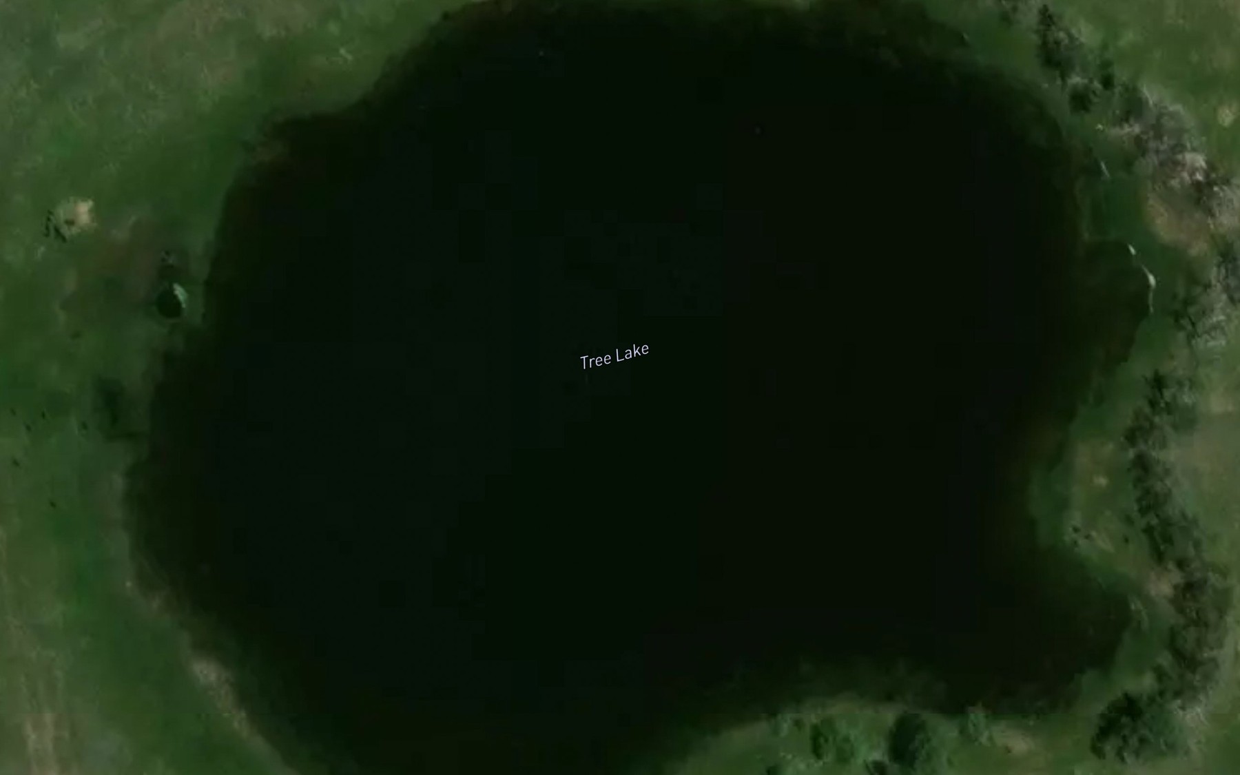Satellite map of the Tree Lake