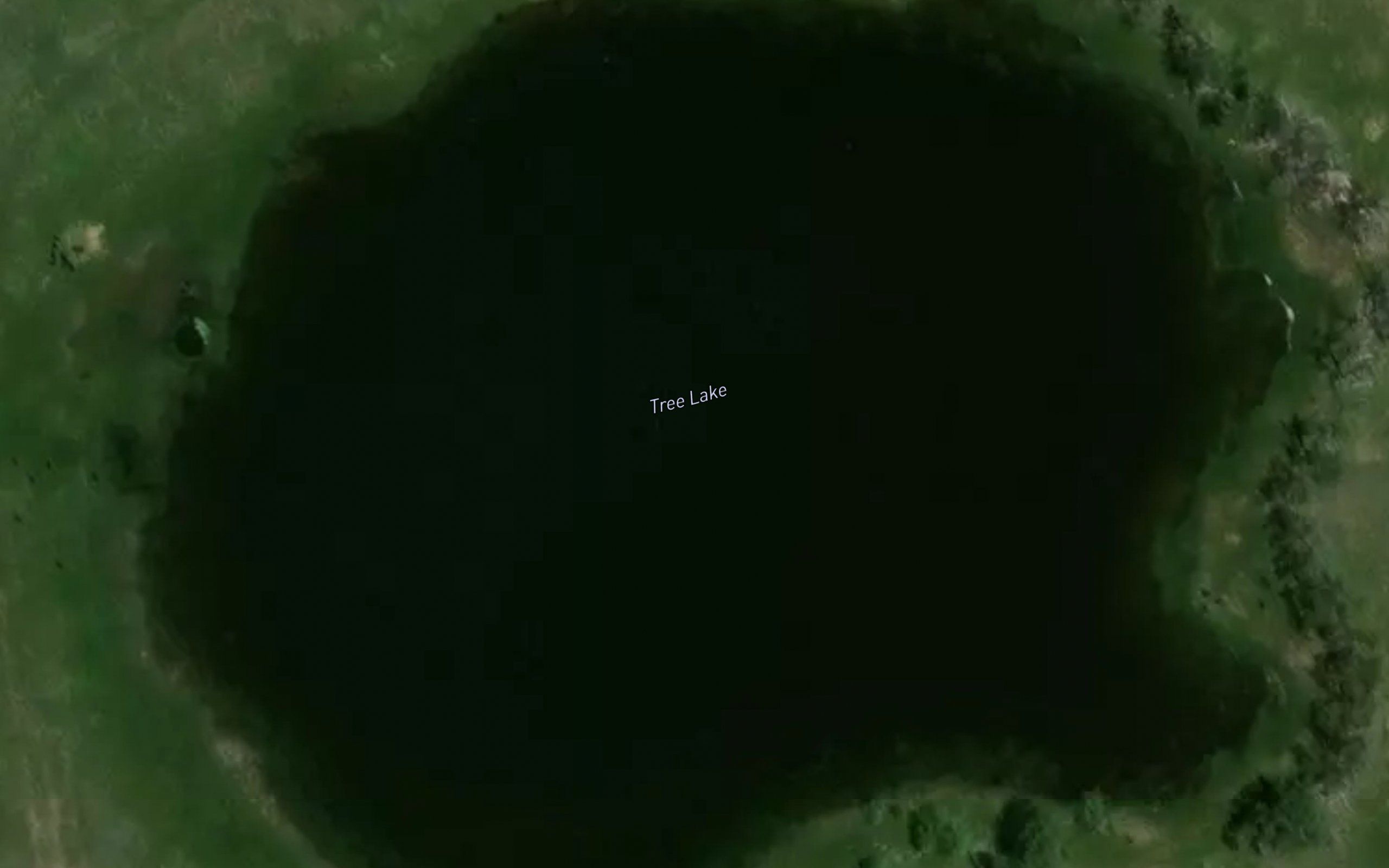 Tree Lake