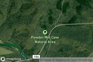 Cove Spring