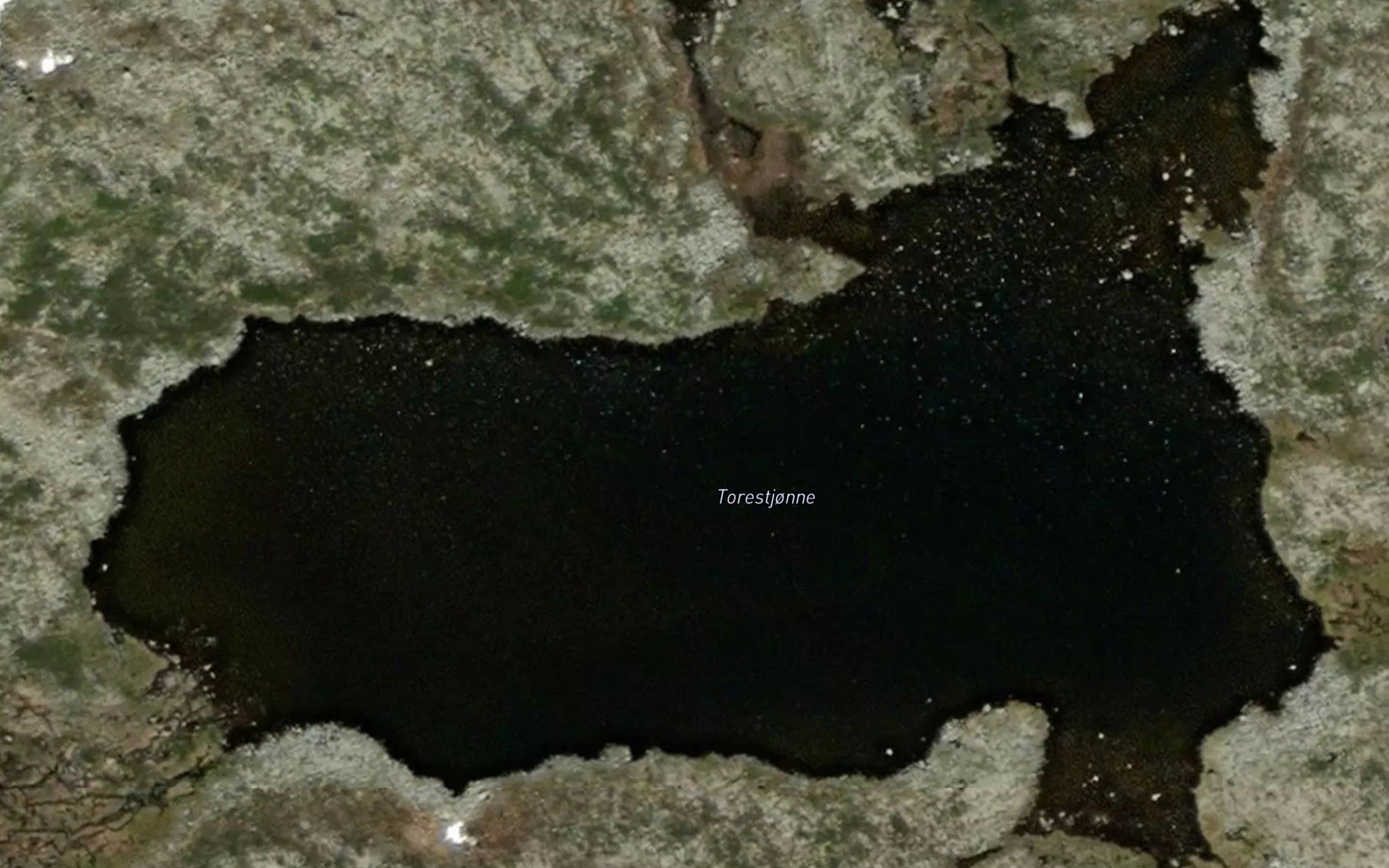 Torestjonne