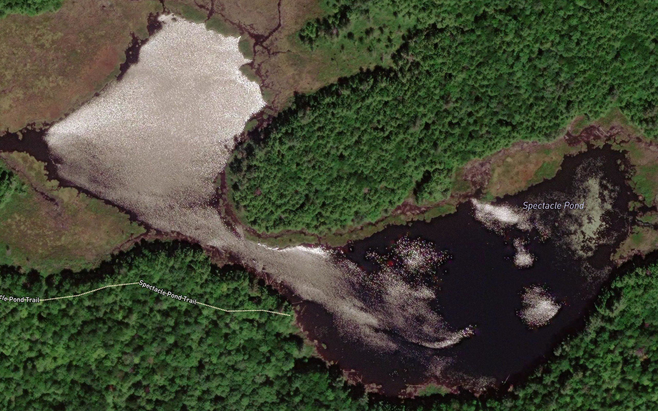 Spectacle Pond