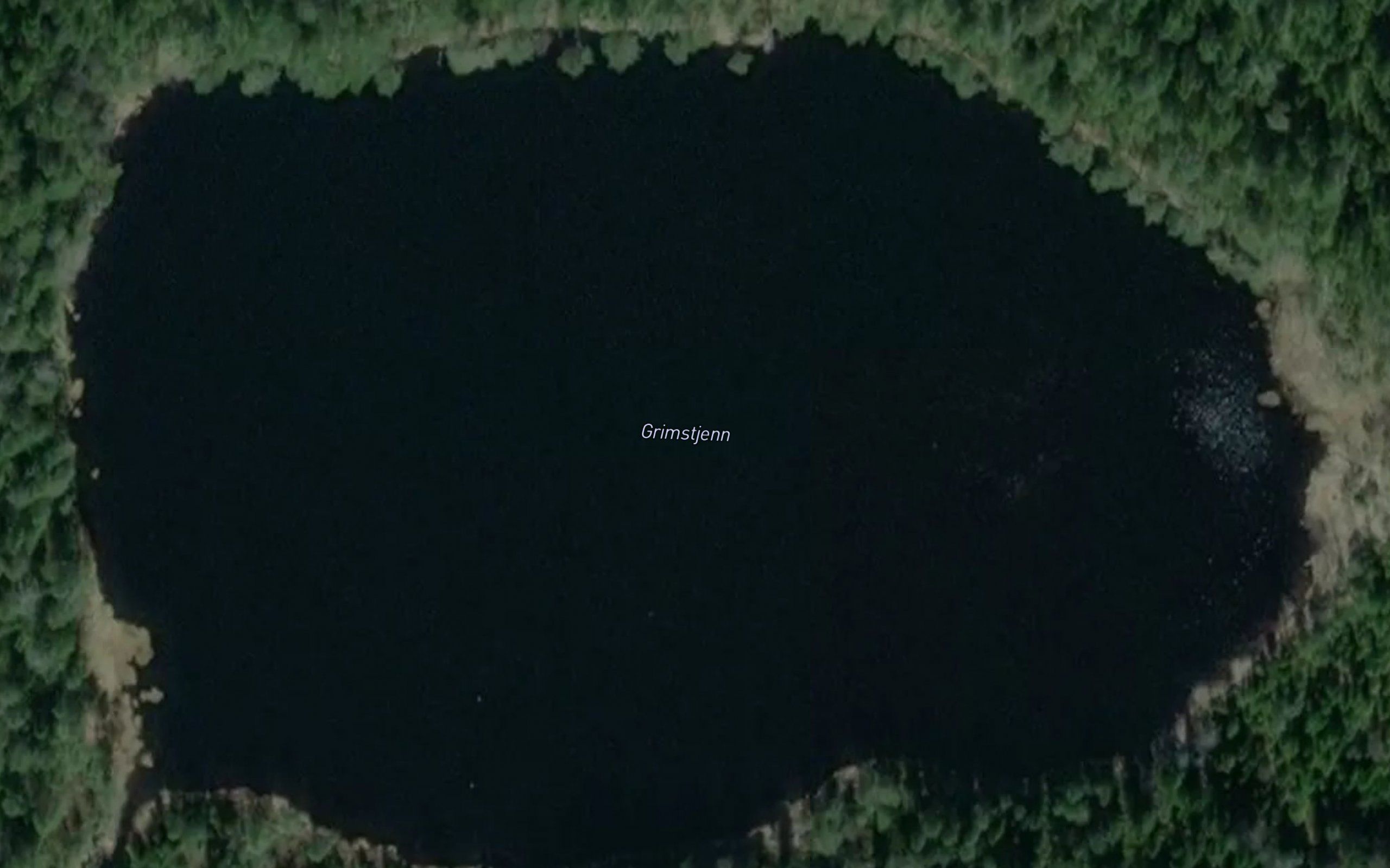 Grimstjern