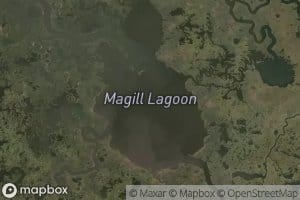 Magill Lagoon