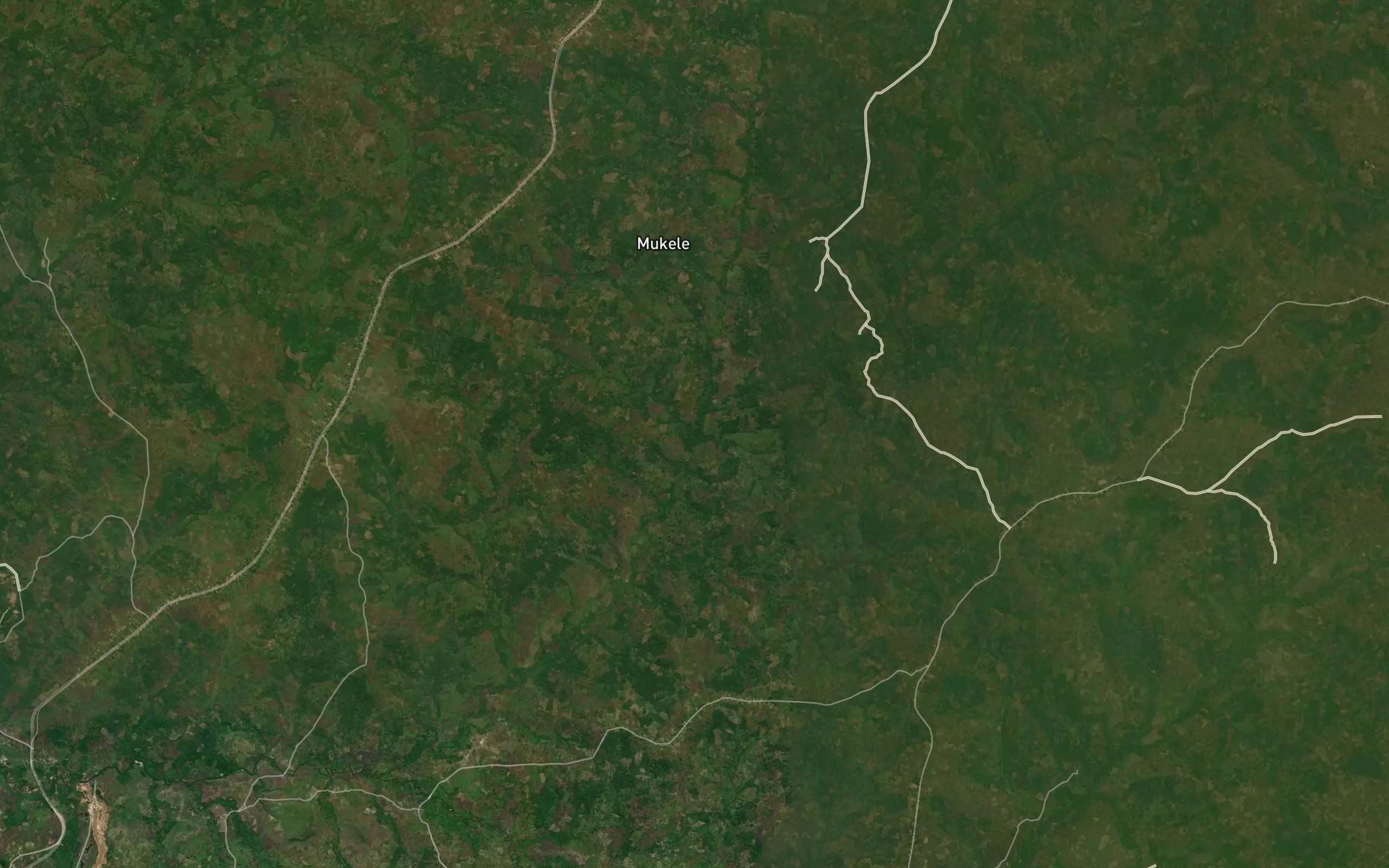 Kabisambo