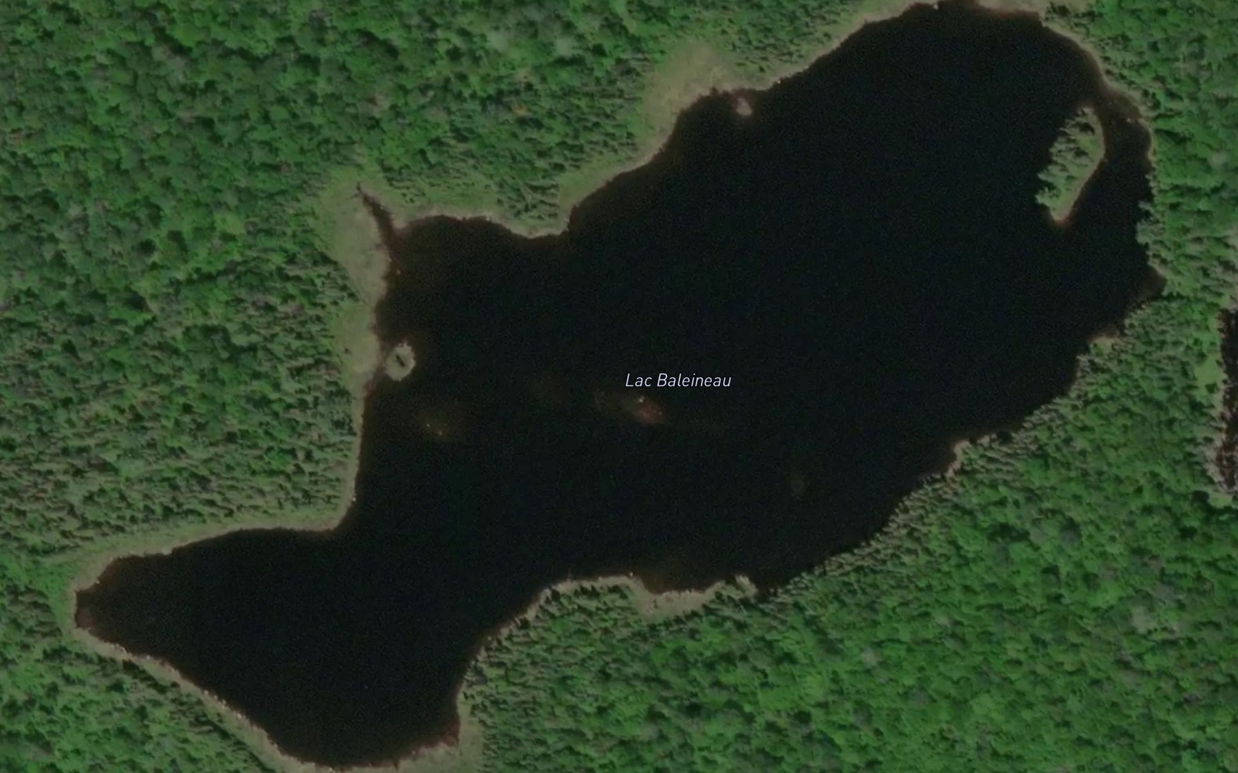 Satellite map of the Lac Baleineau