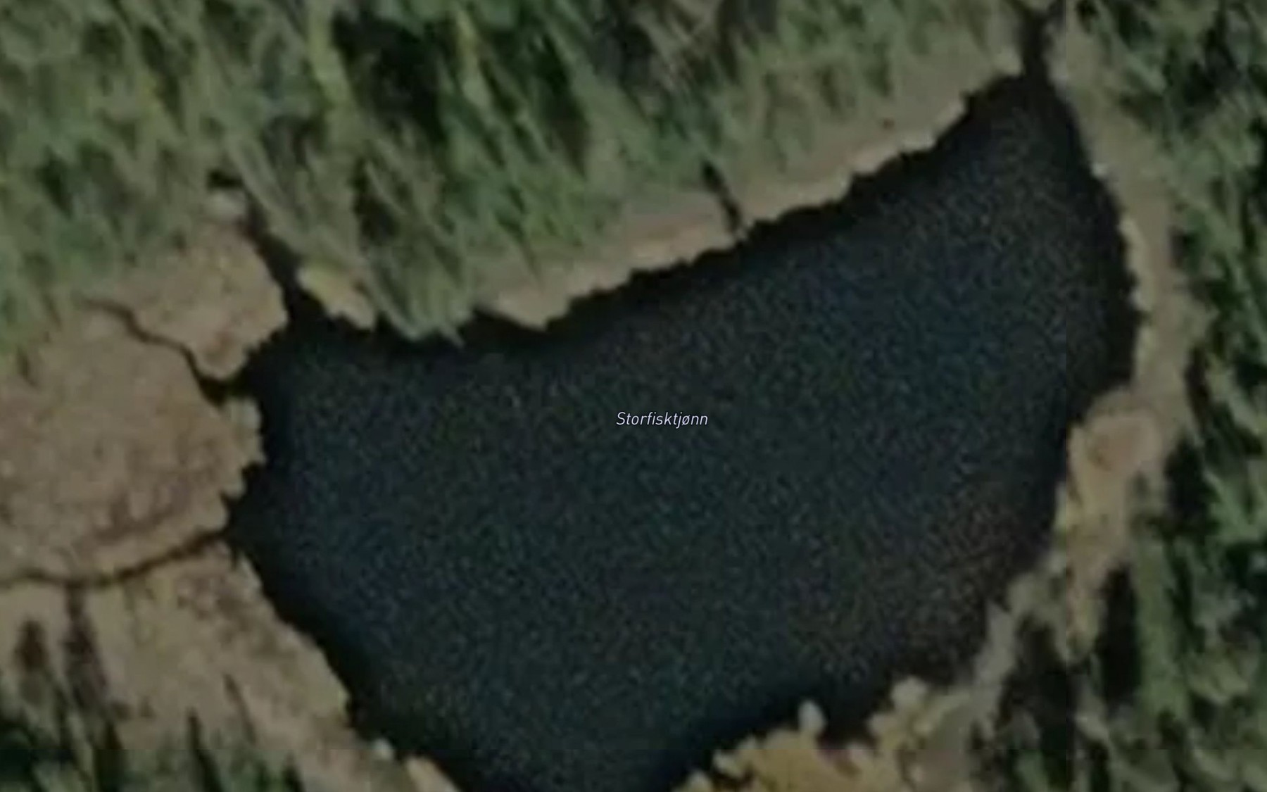 Satellite map of the Storfisktjonn