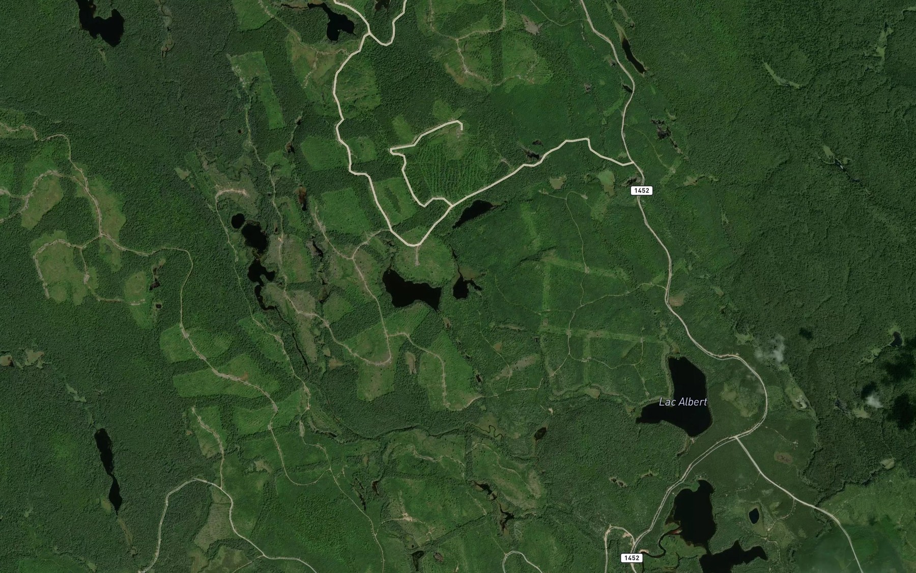 Satellite map of the Petit lac Andre