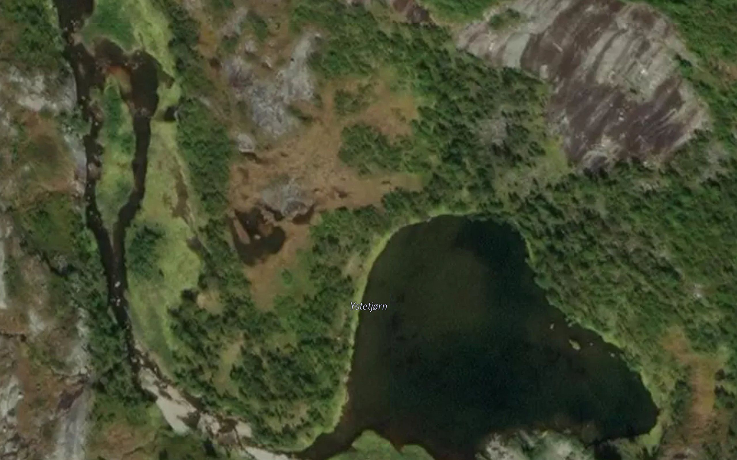 Ytstetjorn