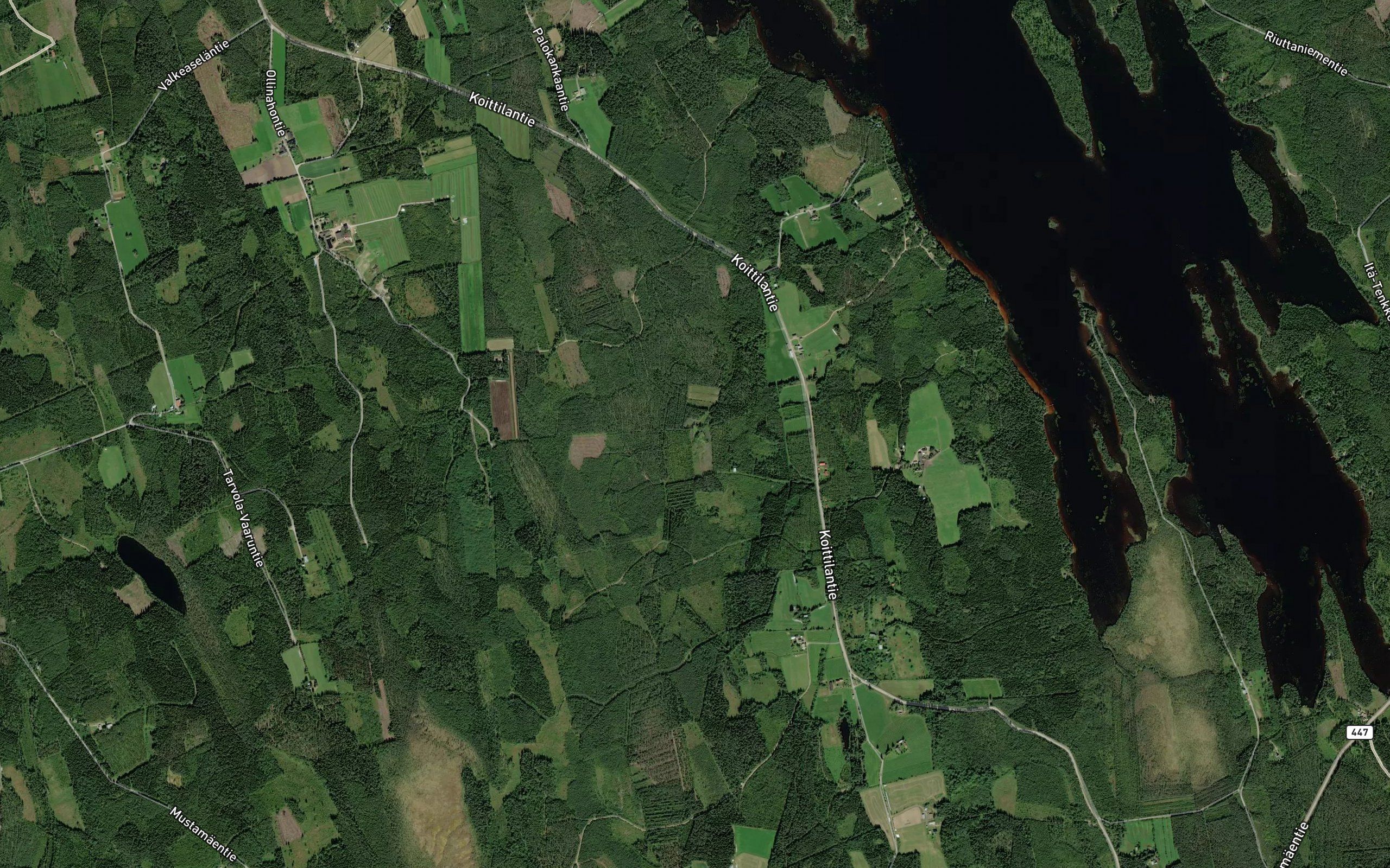 Kaamalainen