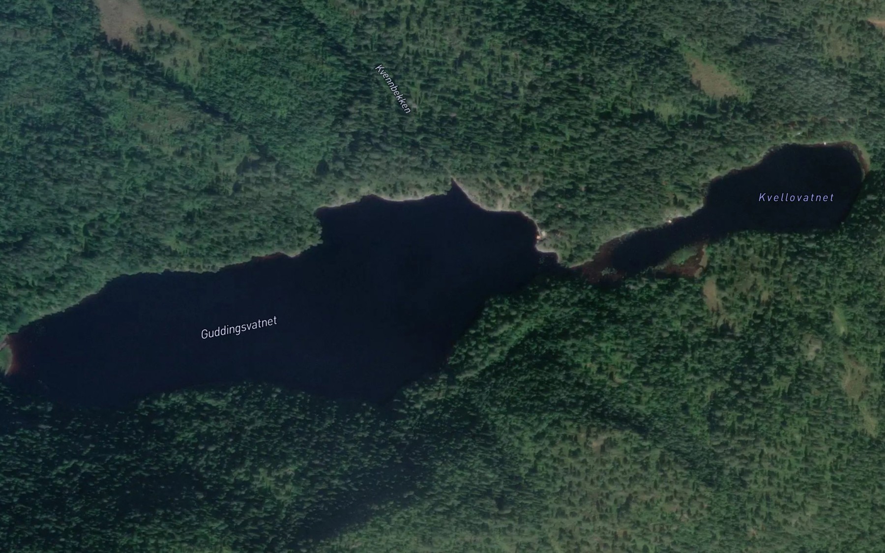 Satellite map of the Guddingsvatnet