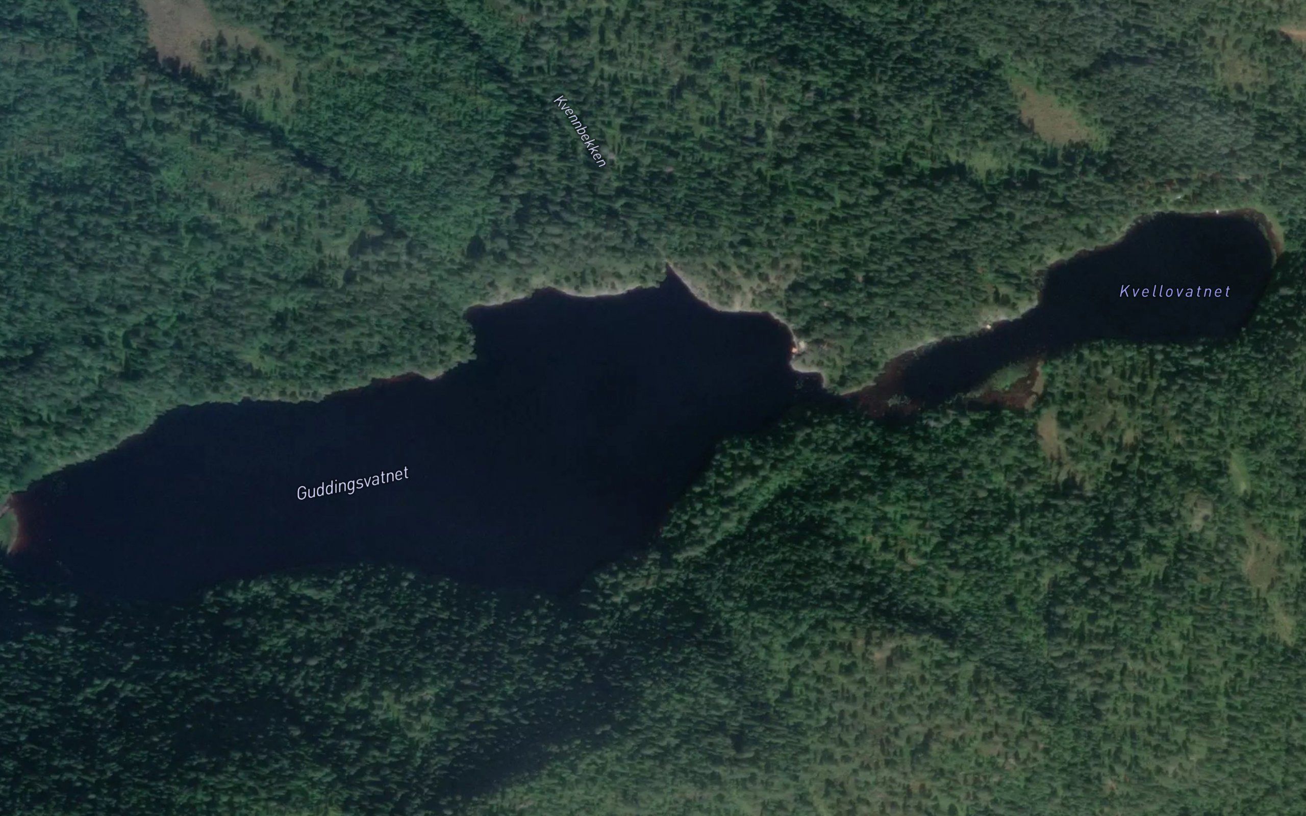Guddingsvatnet