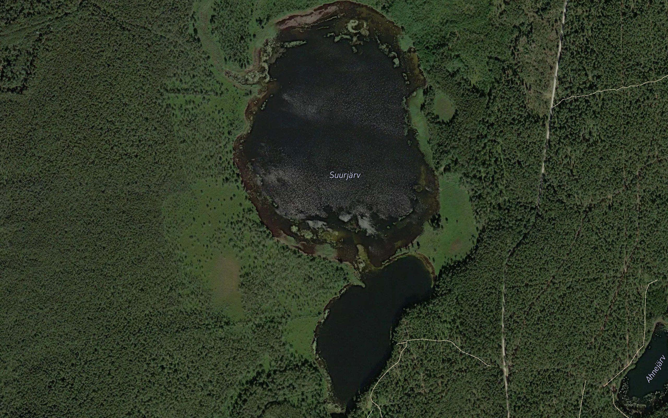Suurjarv