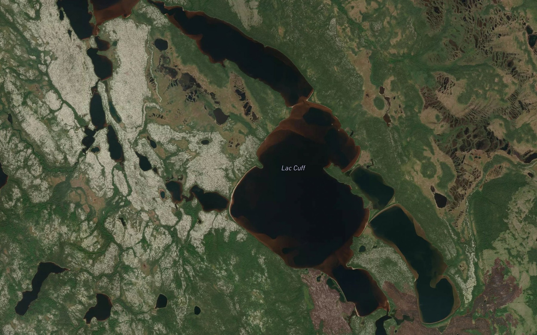 Satellite map of the Lac Cuff