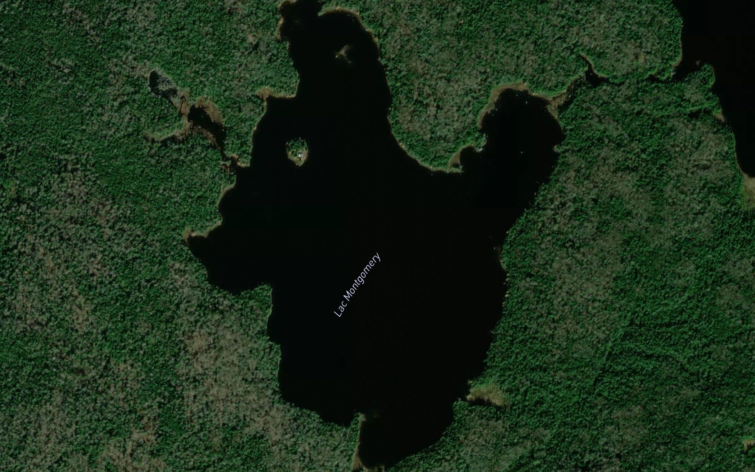 Lac Montgomery