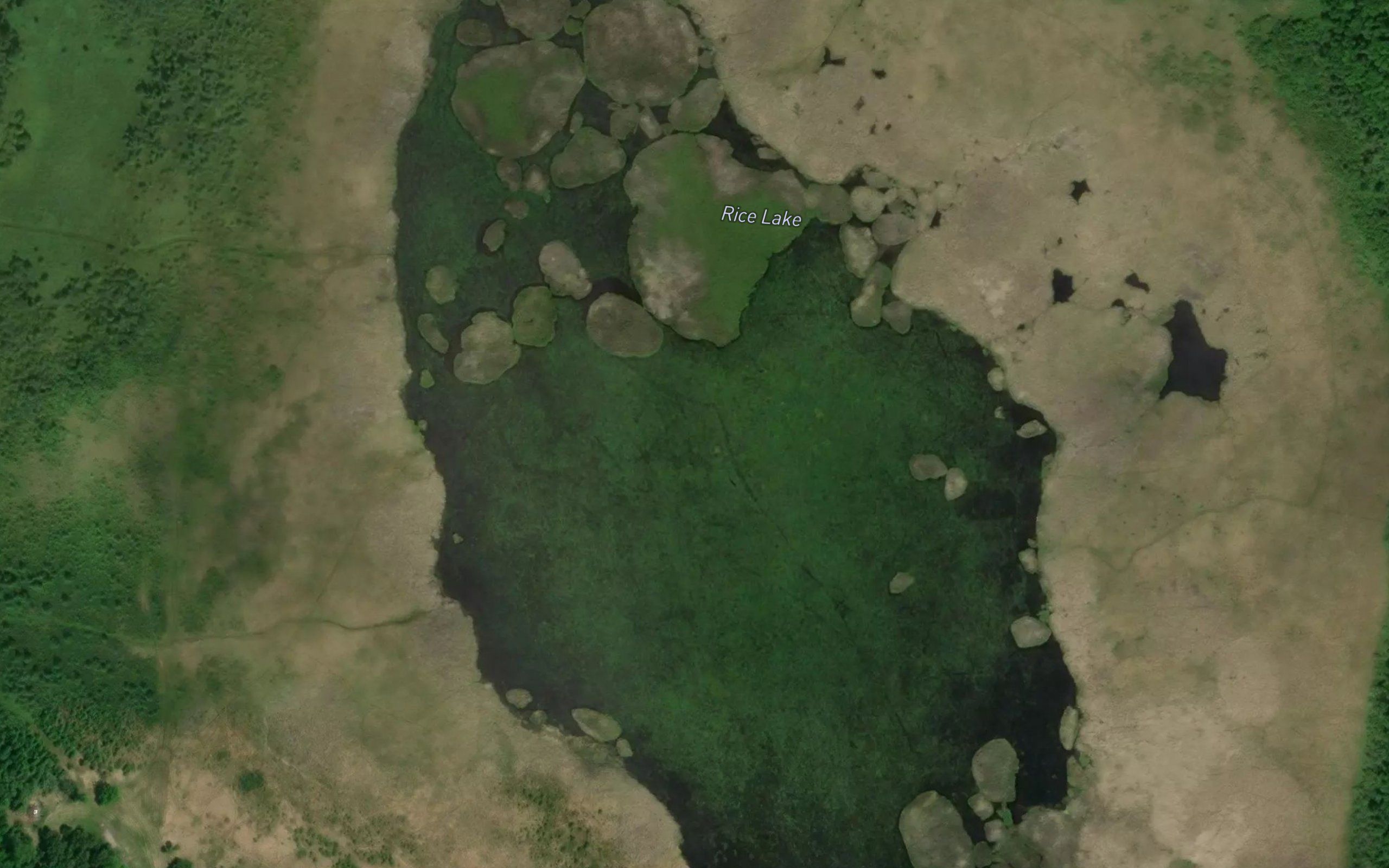 Rice Lake