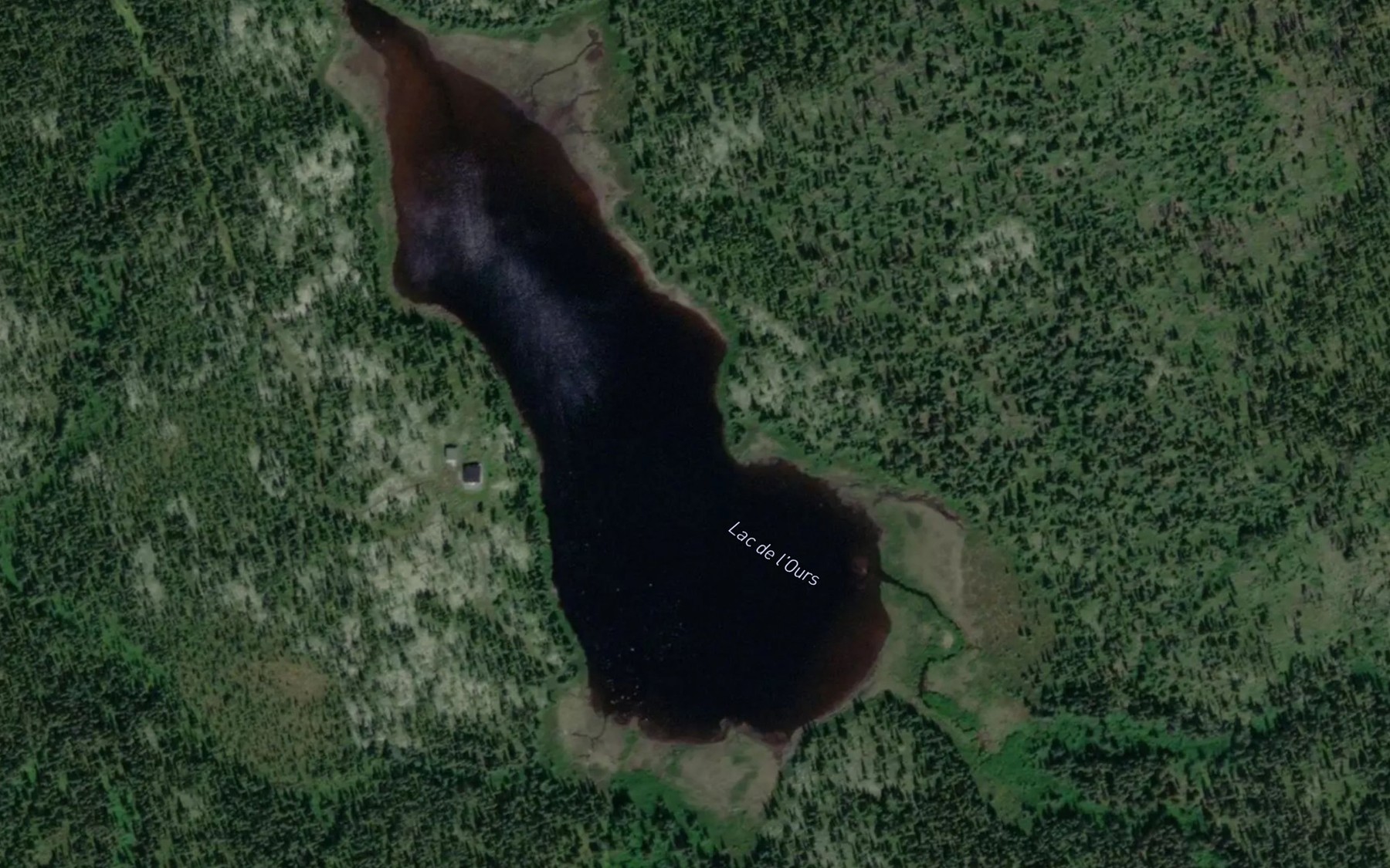 Satellite map of the Lac de l'Ours