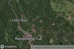 Royongan Papang