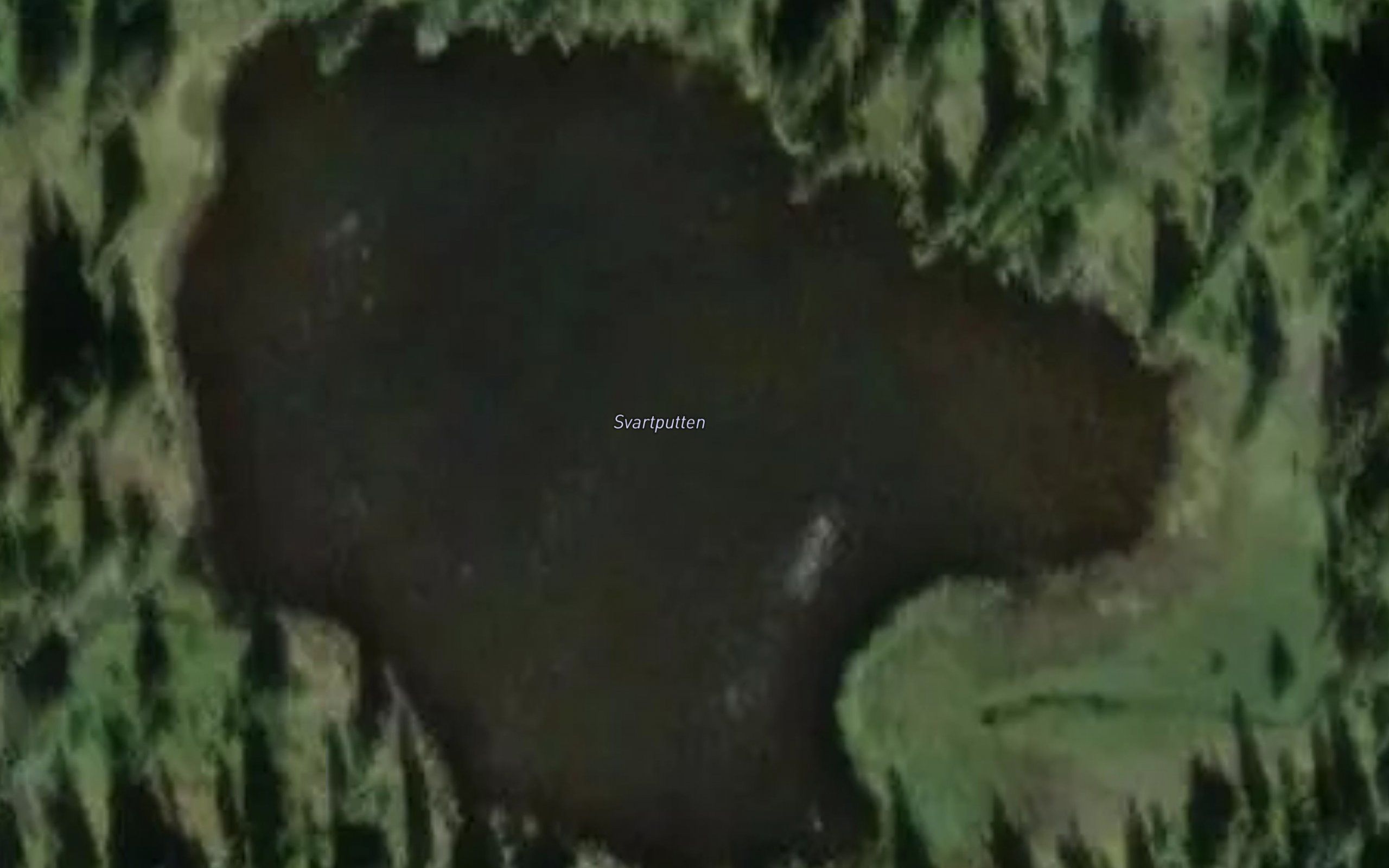 Svartputten