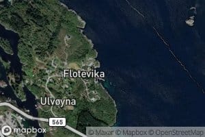 Floteviki