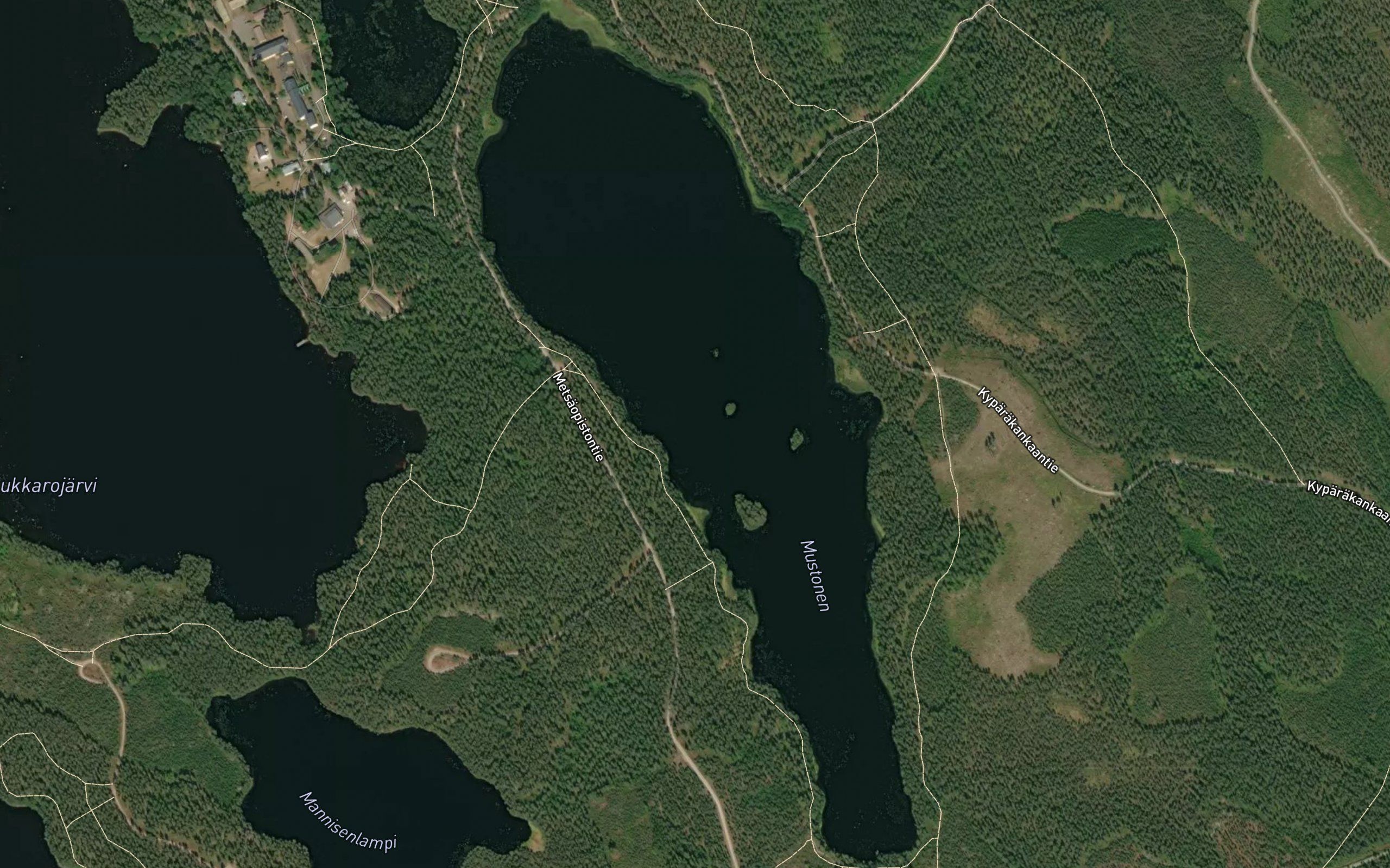 Mustonen