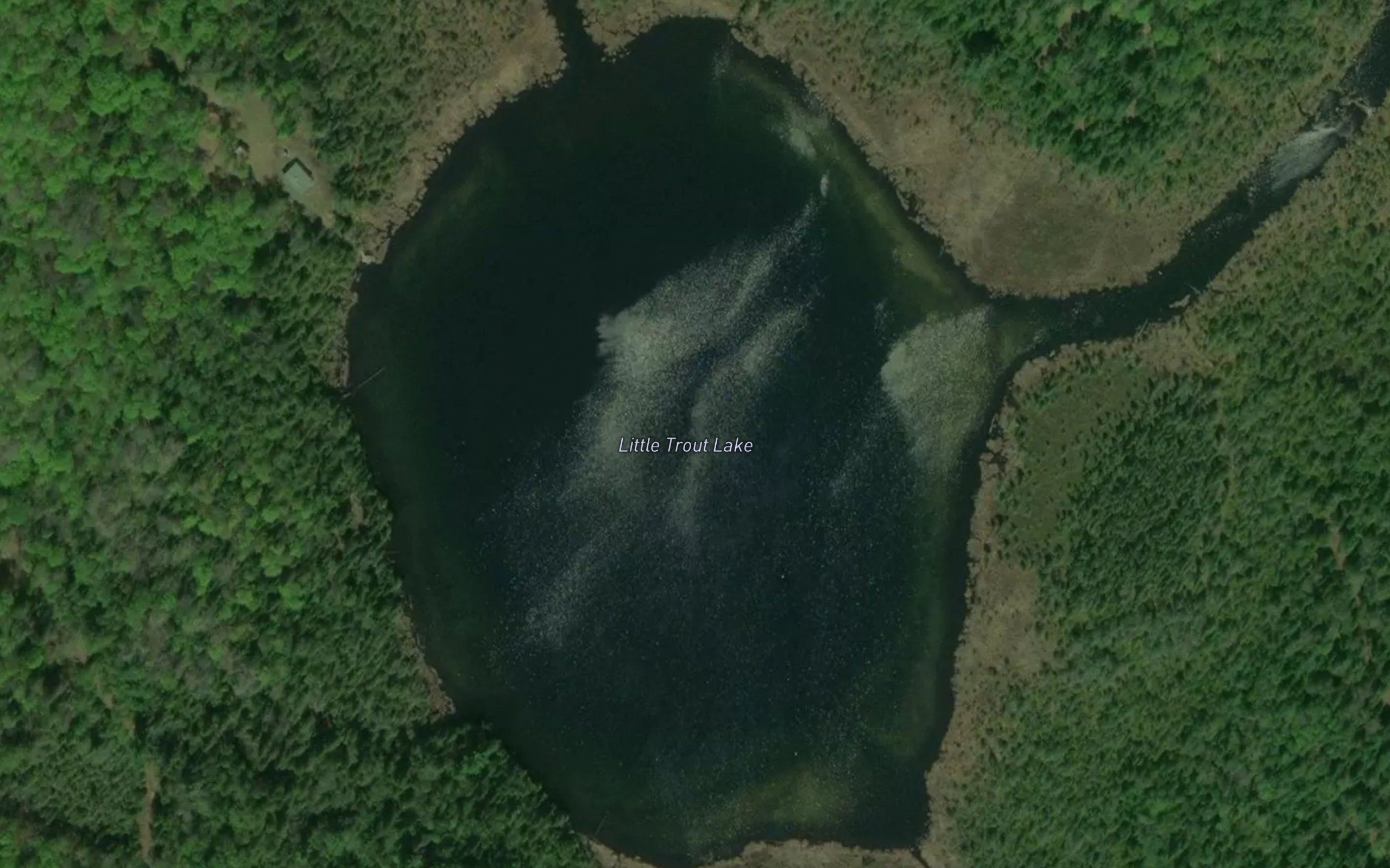 Little Trout Lake