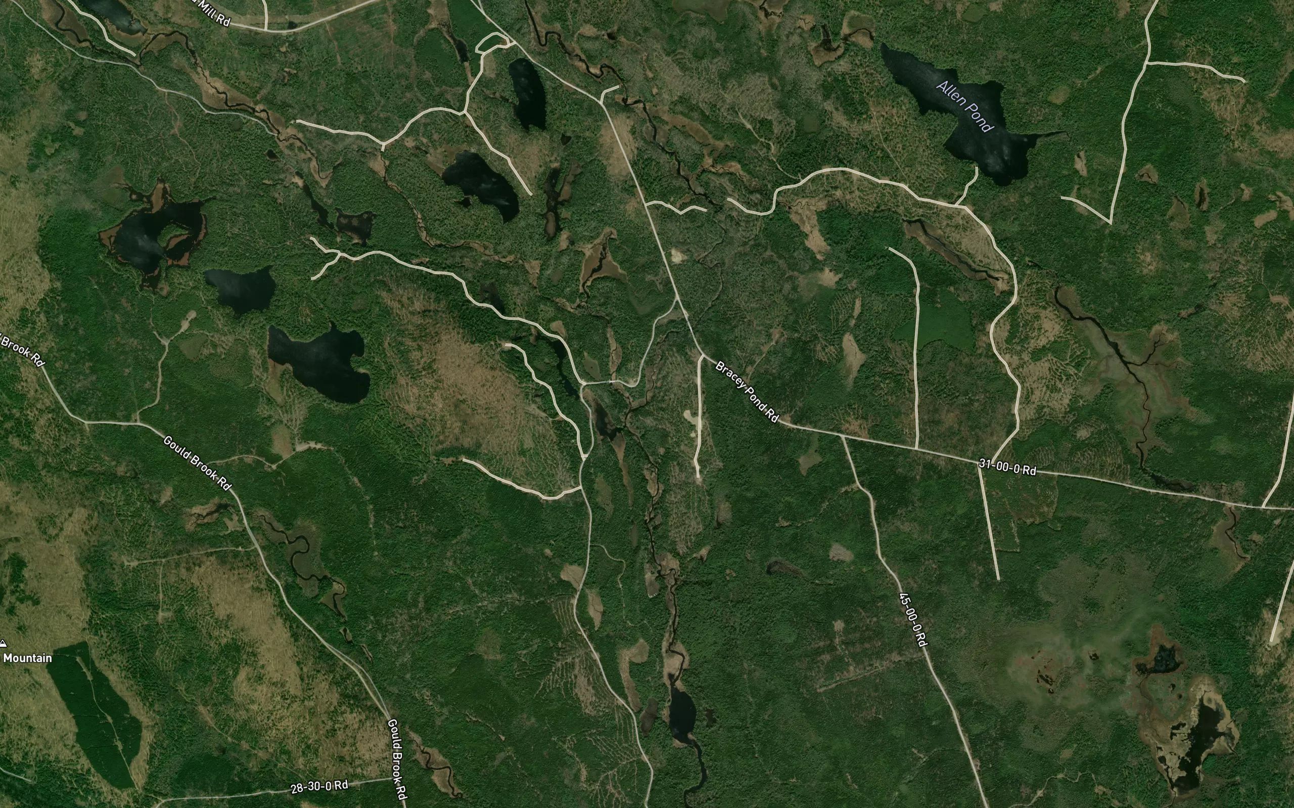 West Branch Narraguagus River