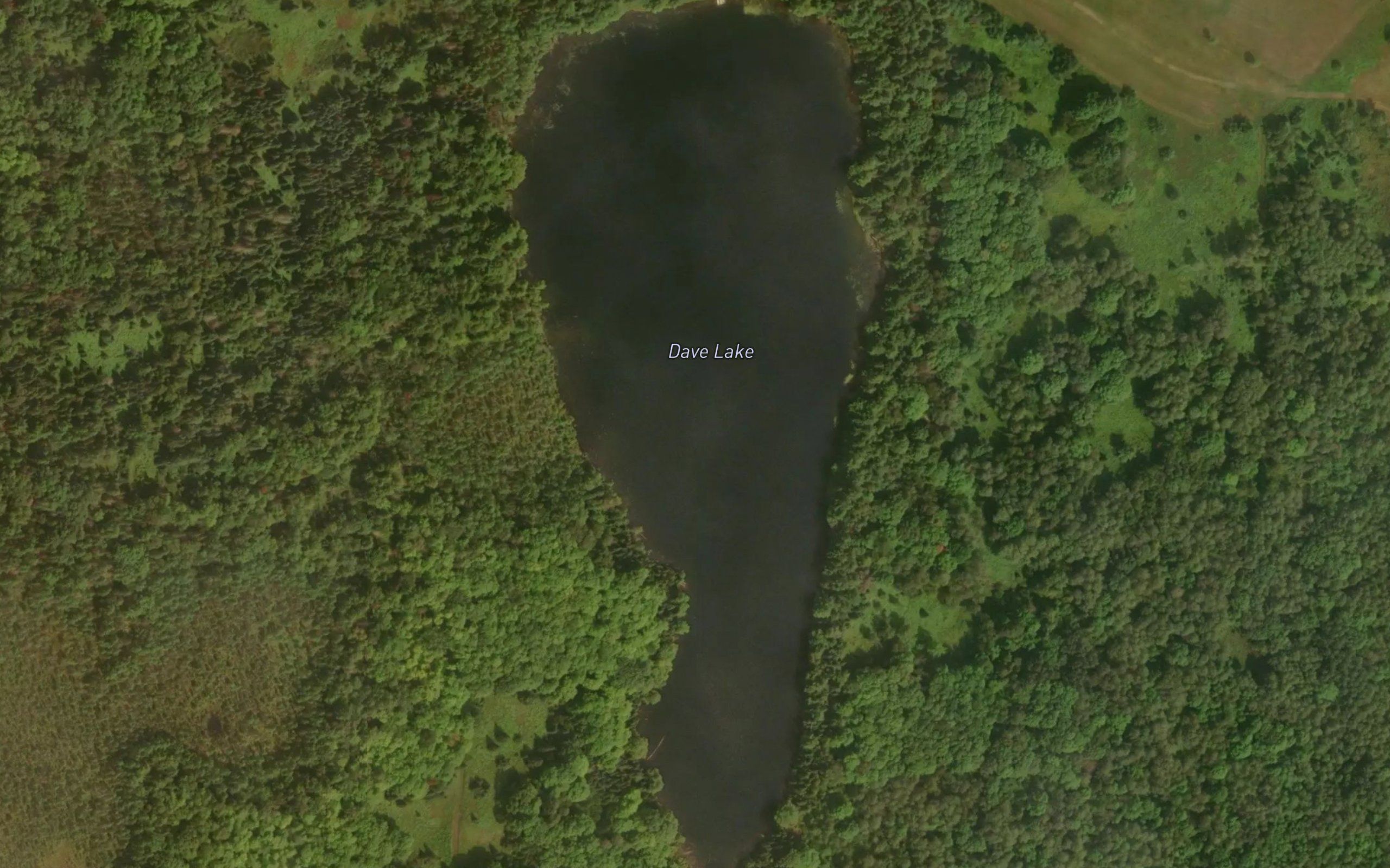 Dave Lake