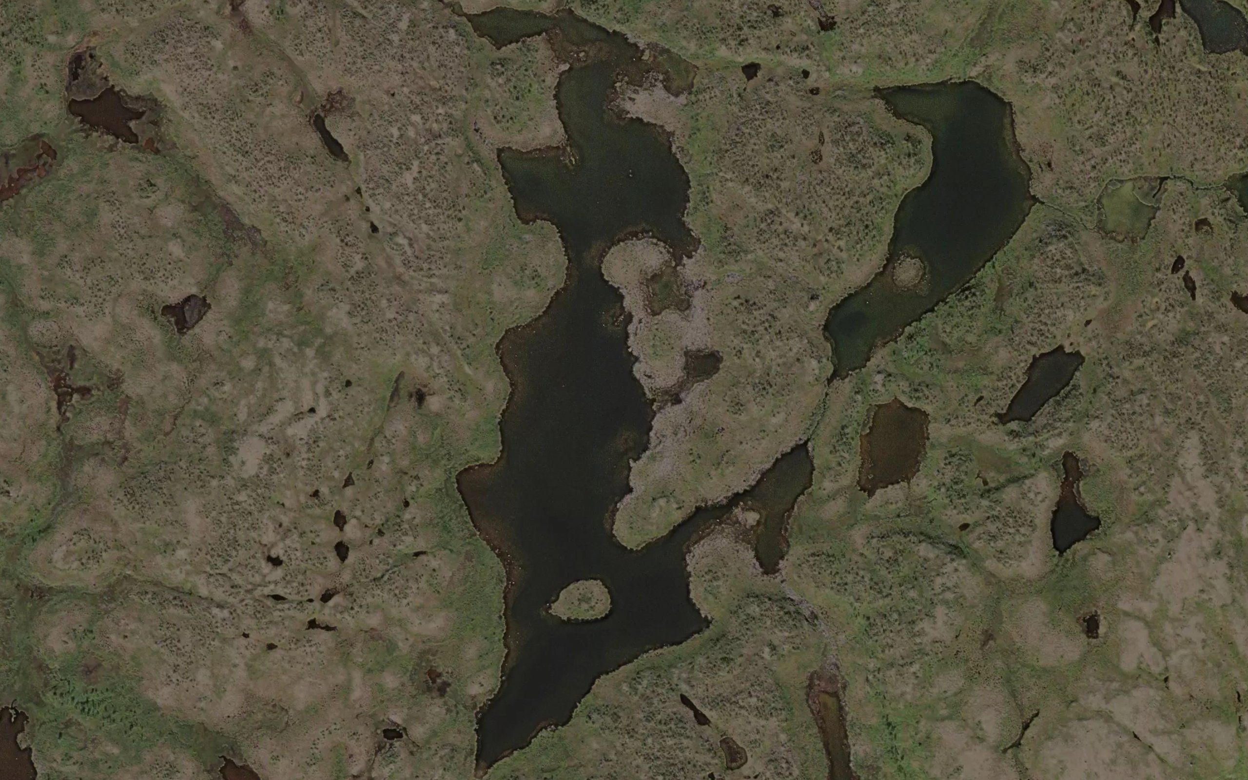 Njargajavri