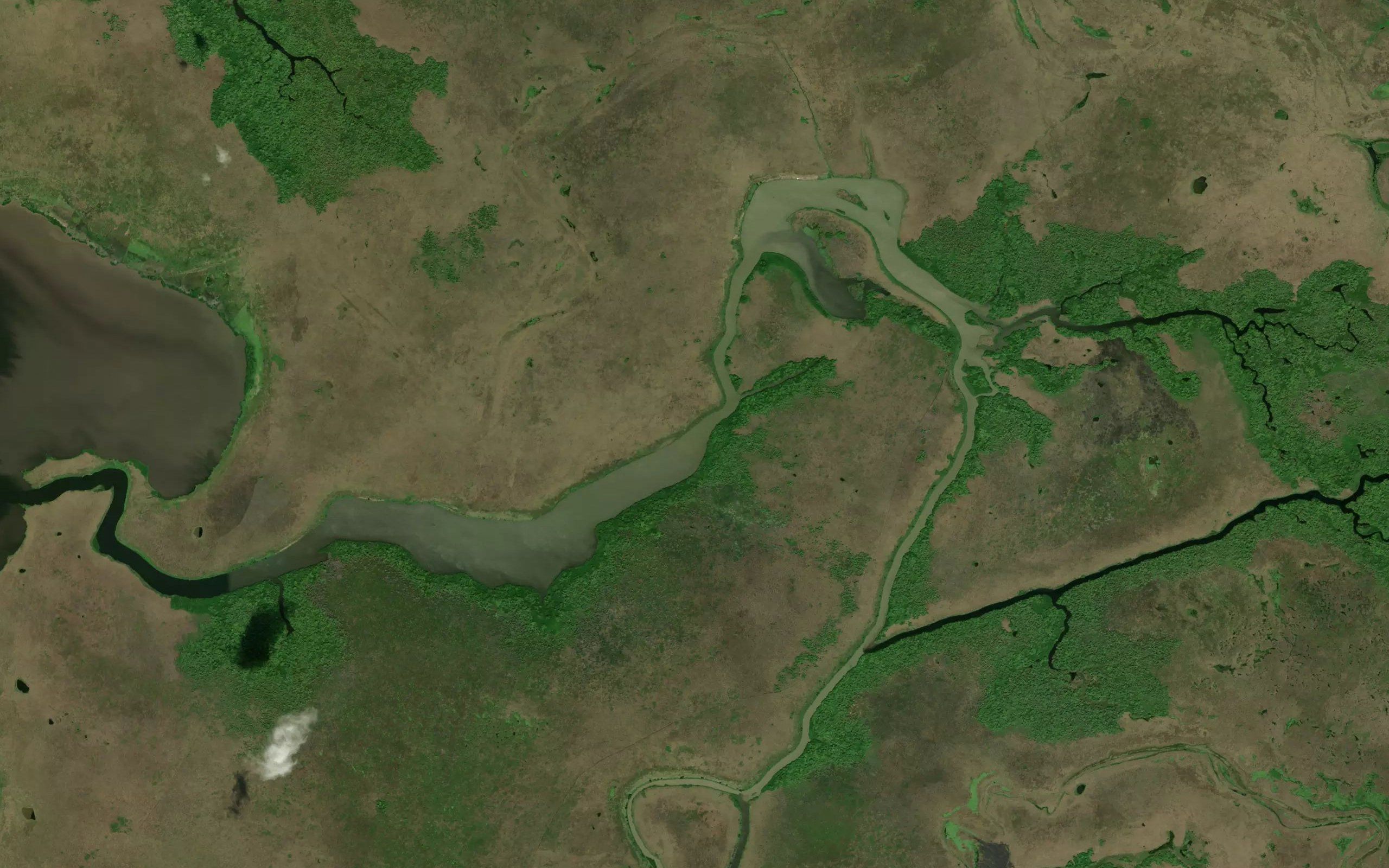 Laguna Zargazal