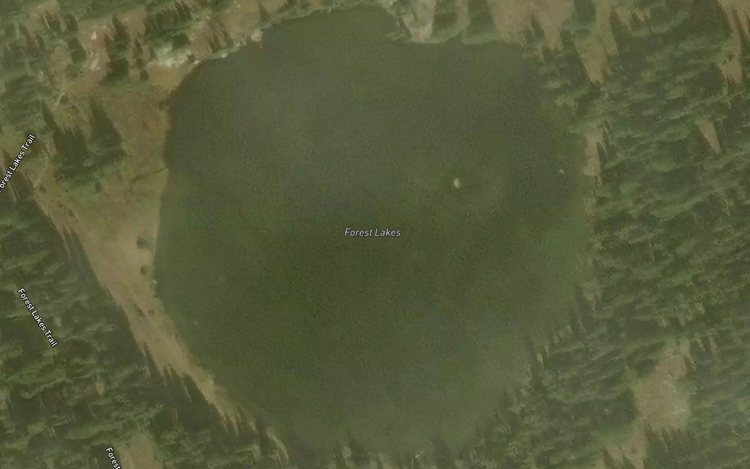 Forest Lakes