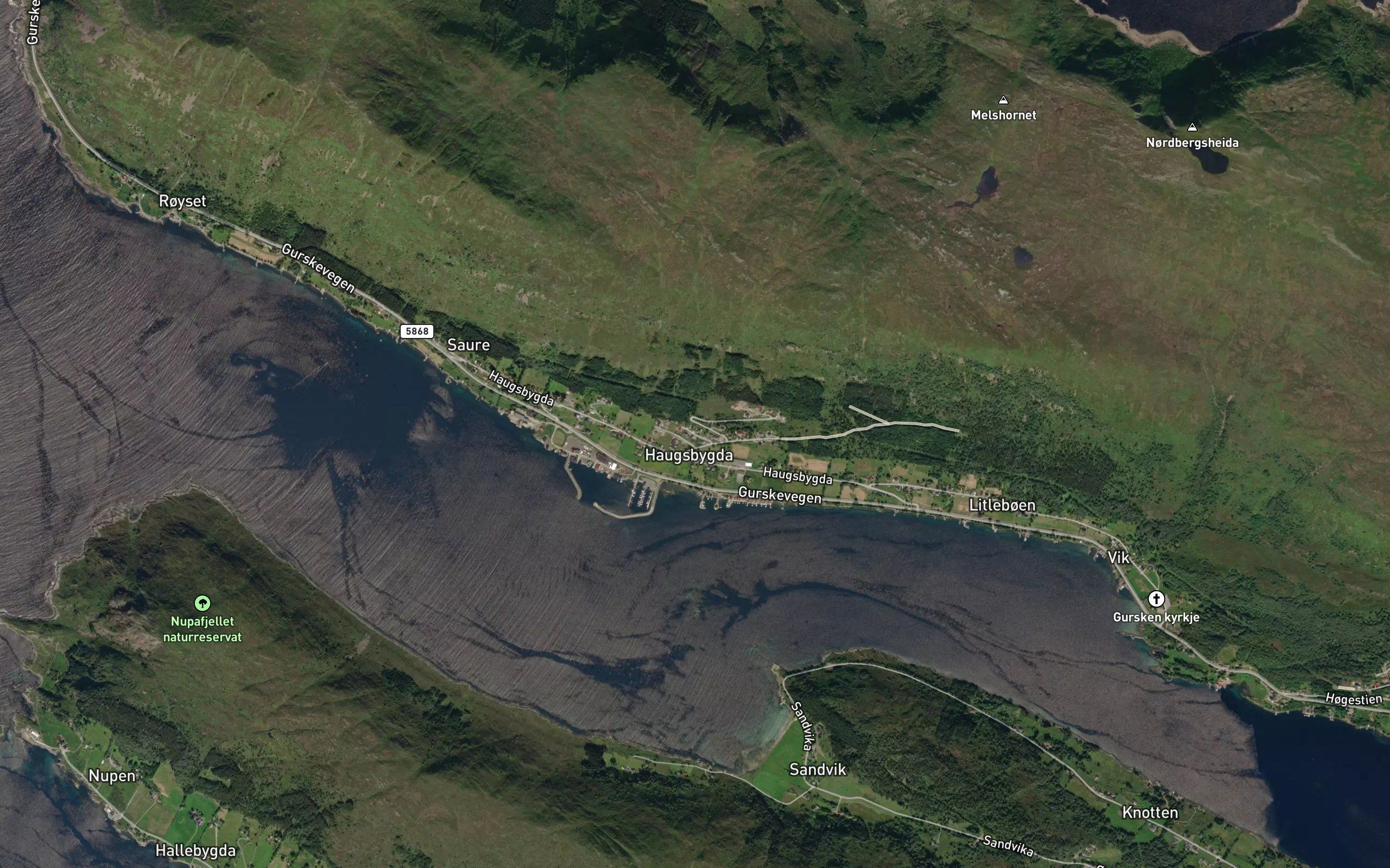 Haugselva